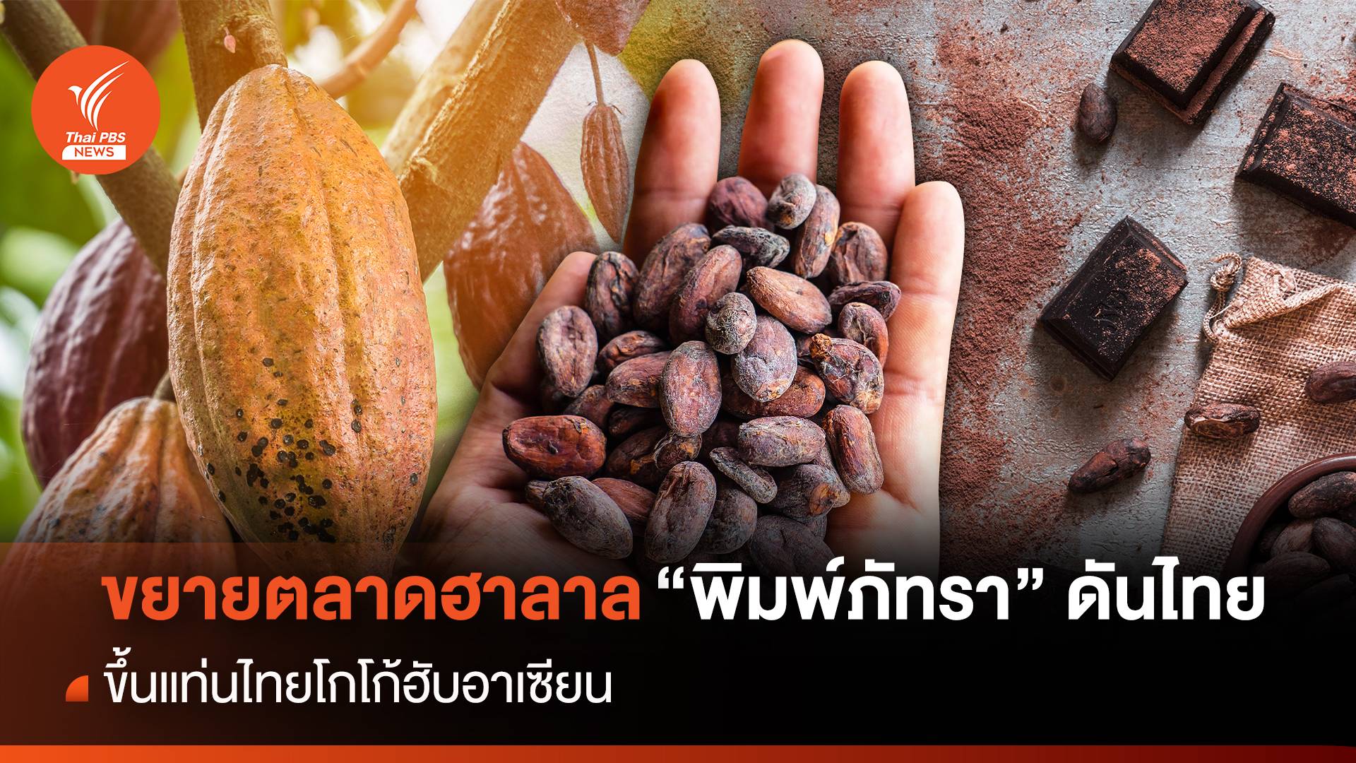 ขยายตลาดฮาลาล "พิมพ์ภัทรา" ดันไทยขึ้นแท่นไทยโกโก้ฮับอาเซียน