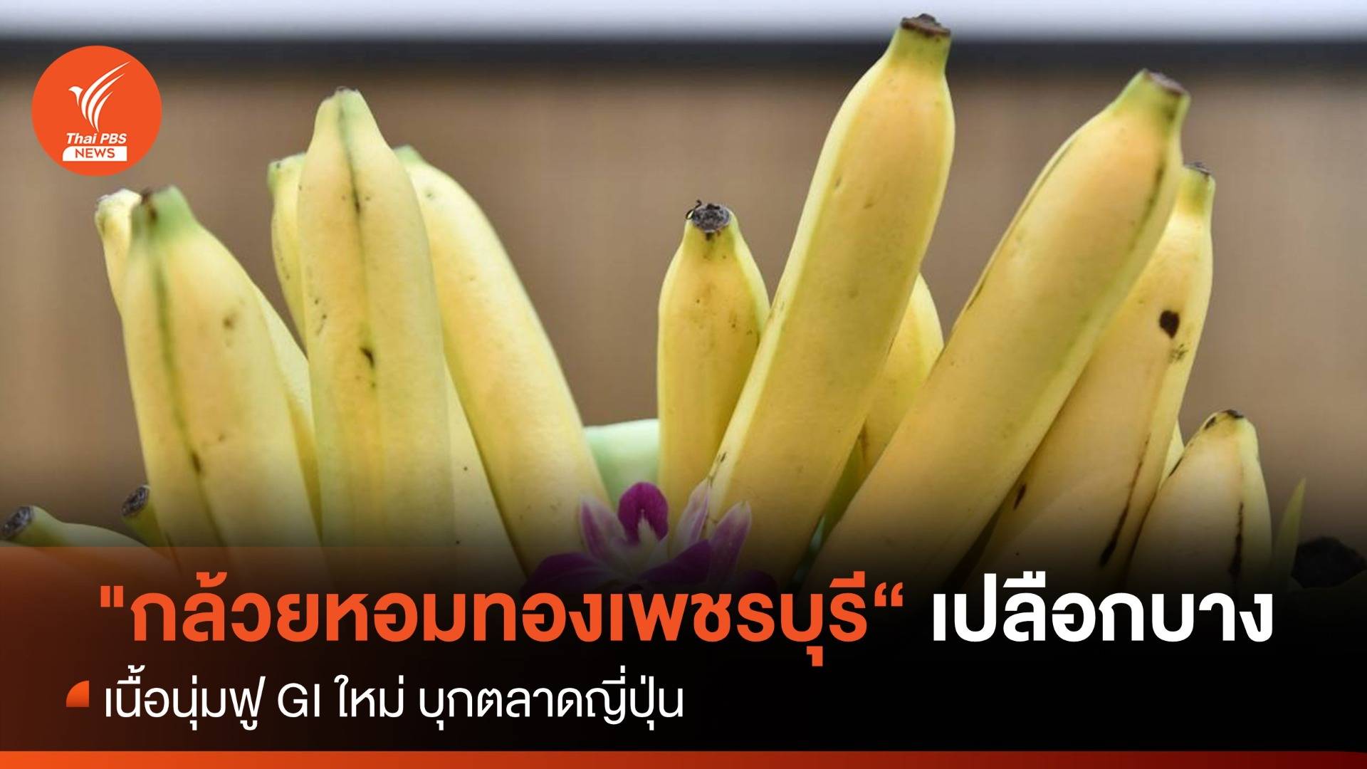 "กล้วยหอมทองเพชรบุรี" เปลือกบาง นุ่มฟู GI ใหม่ บุกตลาดญี่ปุ่น