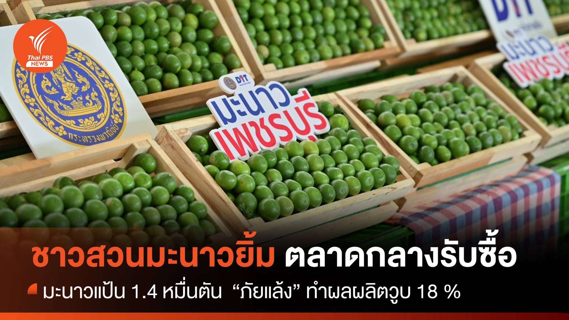 ชาวสวนมะนาวยิ้มแป้น ตลาดกลางรับซื้อมะนาวแป้น 1.4 หมื่นตัน