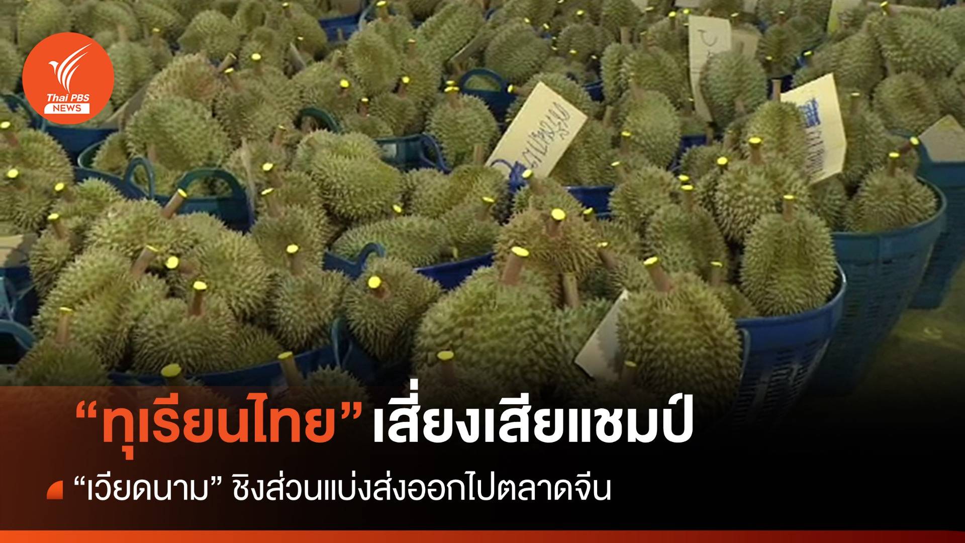 "ทุเรียนไทย" เสี่ยงเสียแชมป์ให้ "เวียดนาม" ชิงส่วนแบ่งส่งออกจีน
