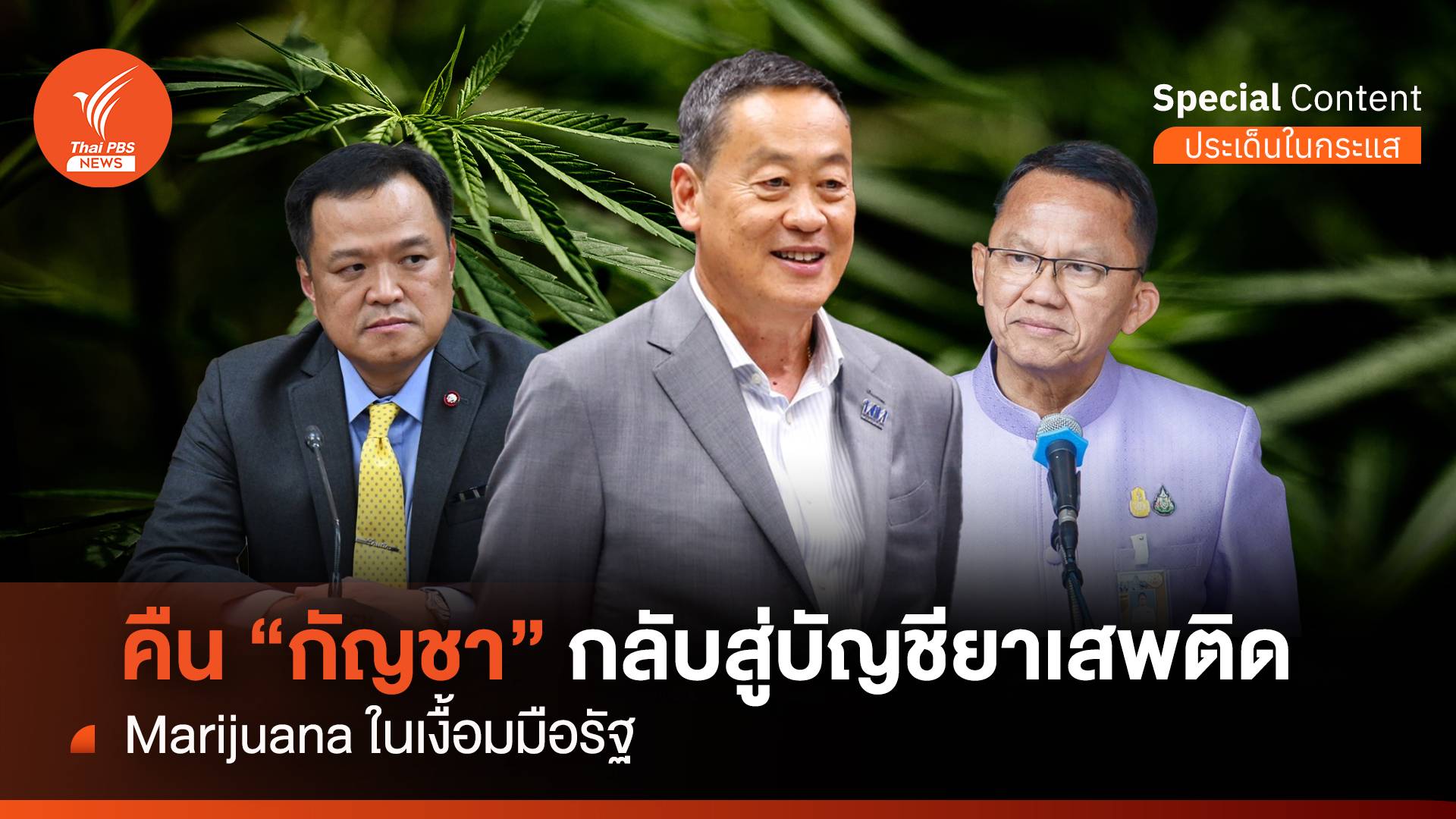 Marijuana ในเงื้อมมือรัฐ คืน "กัญชา" กลับสู่บัญชียาเสพติด