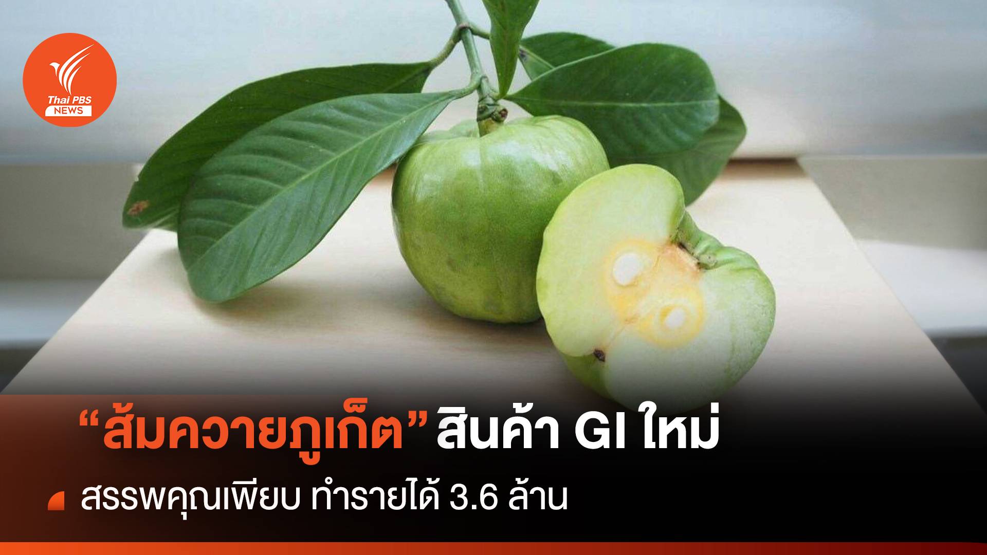 "ส้มควายภูเก็ต" สินค้า GI ใหม่ สรรพคุณเพียบ ทำรายได้ 3.6 ล้าน
