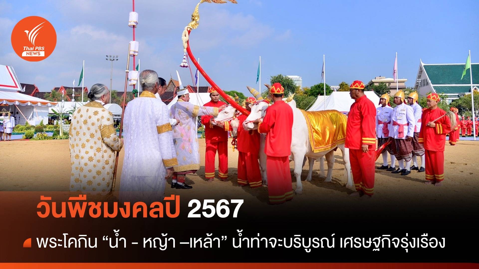 วันพืชมงคลปี 2567 พระโคกิน "น้ำ - หญ้า -เหล้า" น้ำท่าบริบูรณ์พอสมควร ค้าขายกับต่างประเทศเจริญรุ่งเรือง 