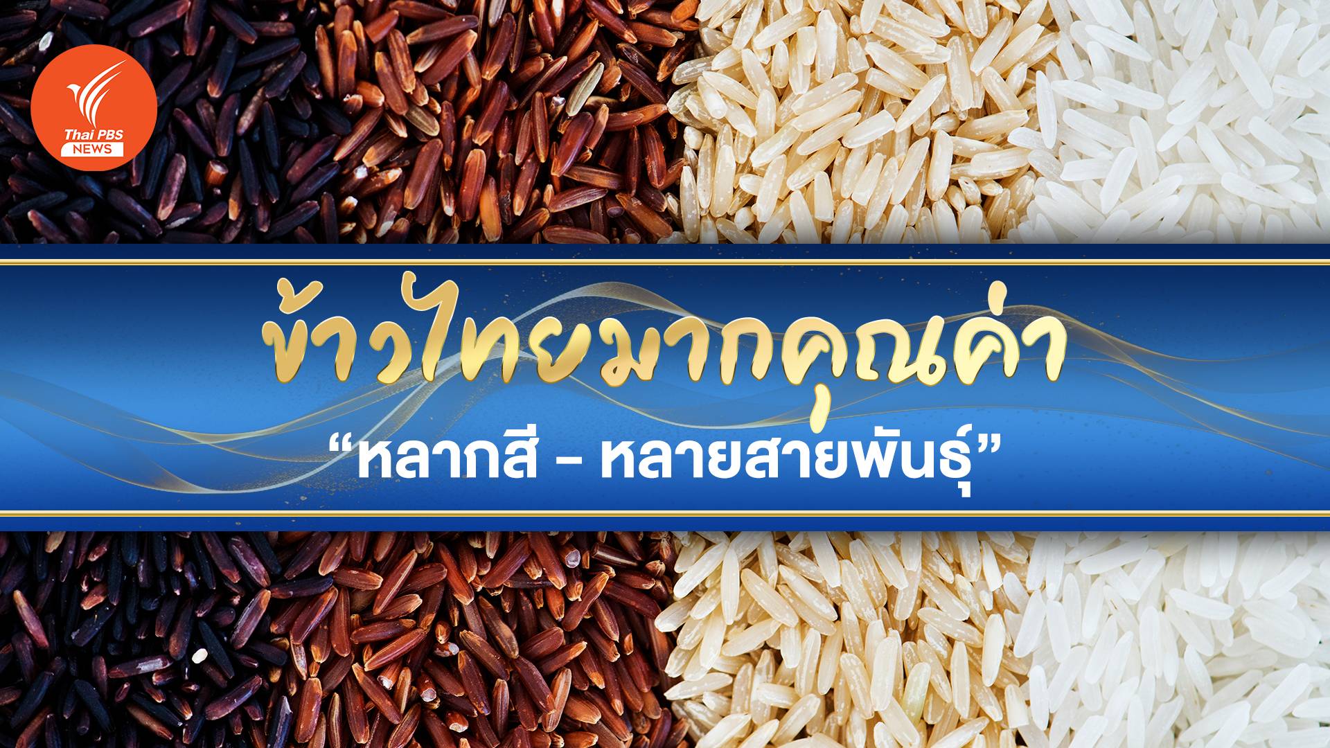 เรื่องน่ารู้ "ข้าวไทย" "หลากสี - หลายสายพันธุ์" เต็มไปด้วยคุณค่า