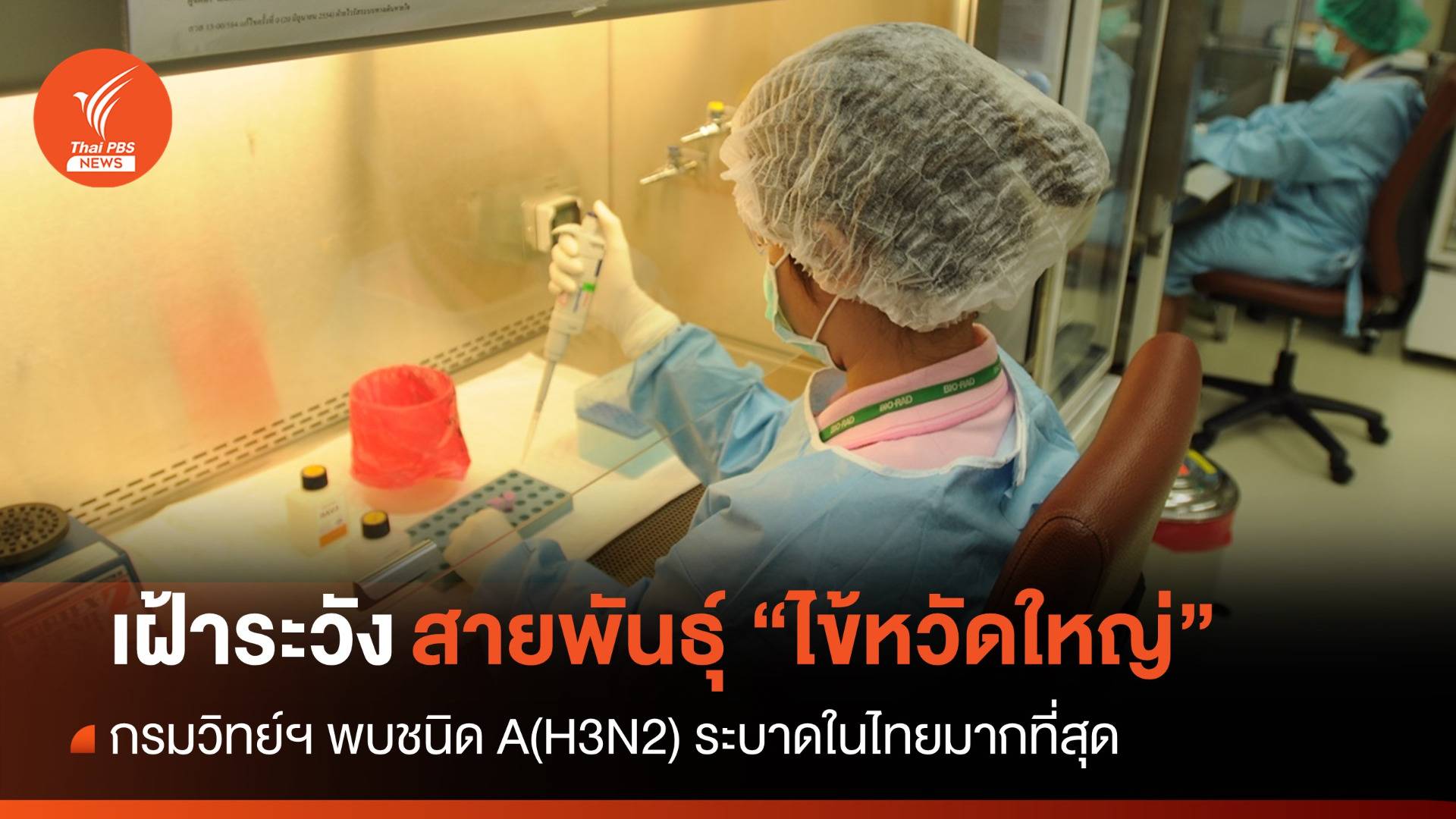 กรมวิทย์ฯ พบไข้หวัดใหญ่ชนิด A(H3N2) ระบาดในไทยมากสุด Thai PBS News