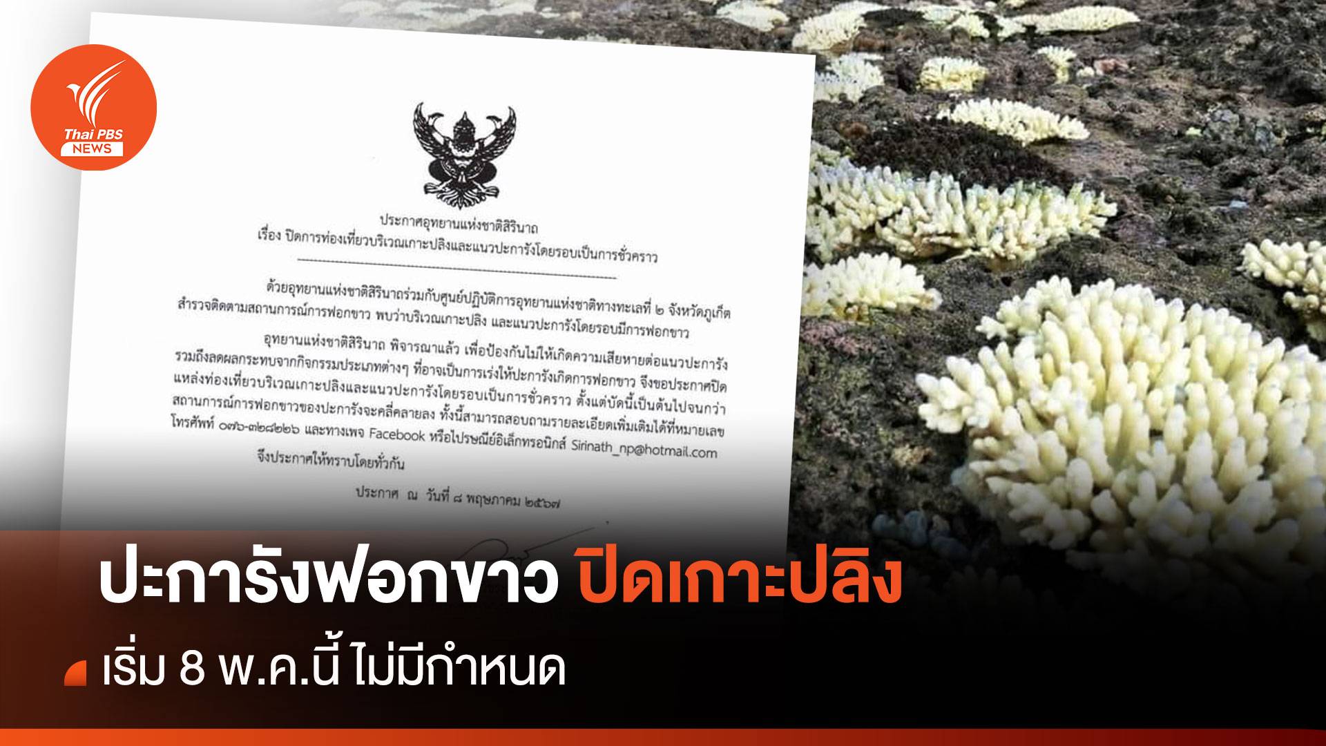 ปิดเกาะปลิง! ไม่มีกำหนด ปะการังฟอกขาวหนัก