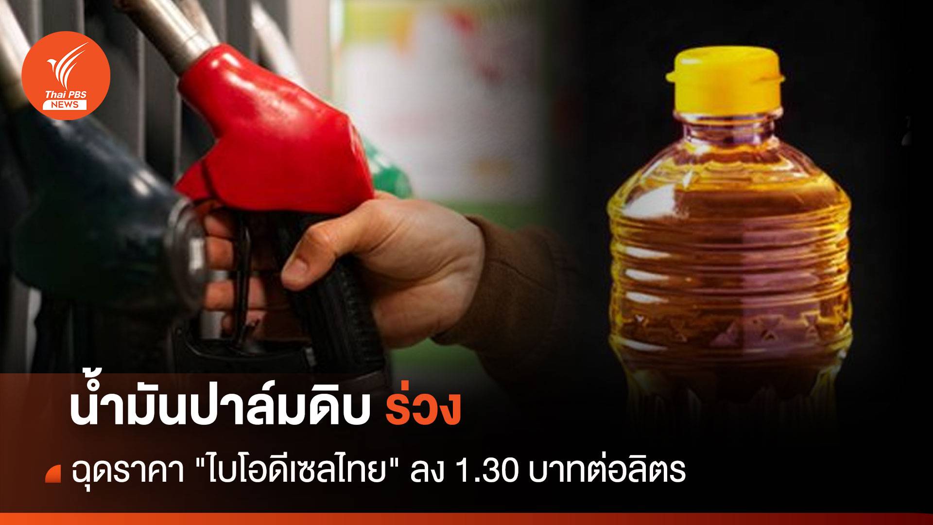 น้ำมันปาล์มดิบร่วง ฉุดราคา "ไบโอดีเซลไทย" ลง 1.30 บาทต่อลิตร