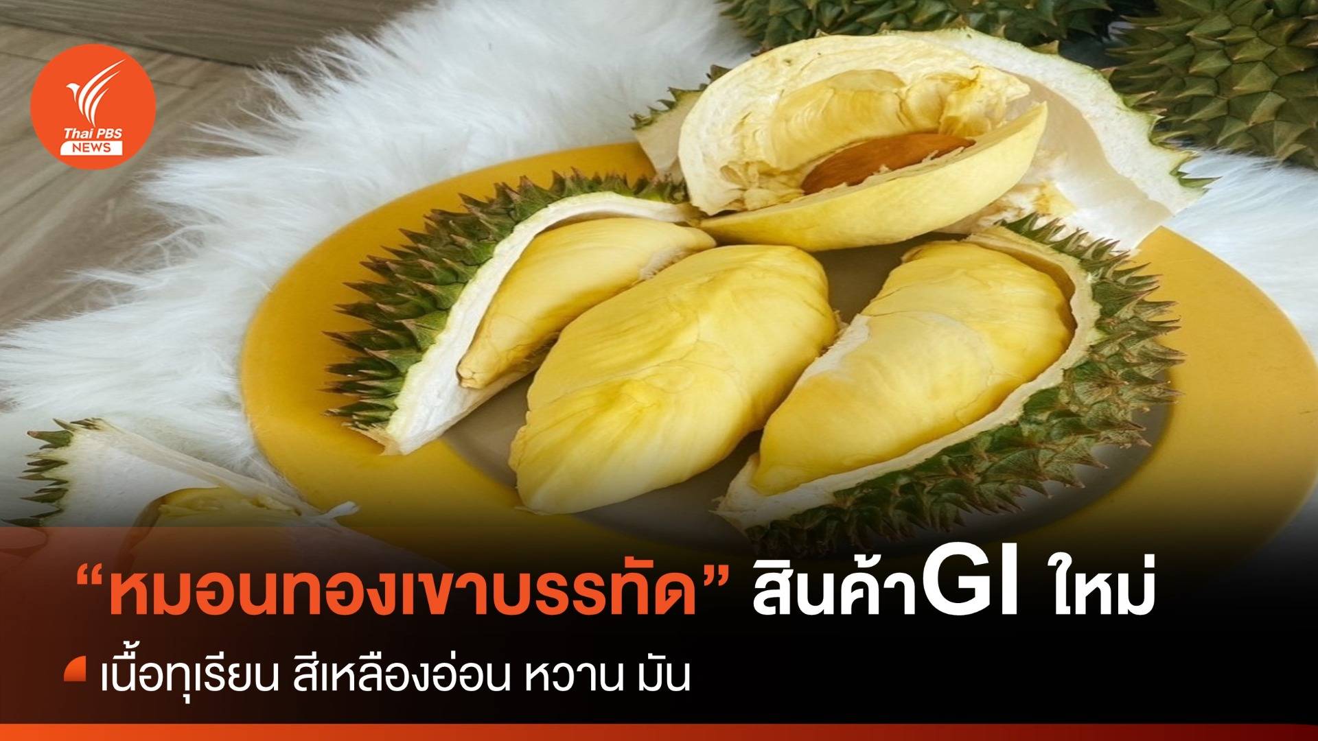 “หมอนทองเขาบรรทัด” GI ใหม่ เนื้อทุเรียน สีเหลืองอ่อน หวาน มัน