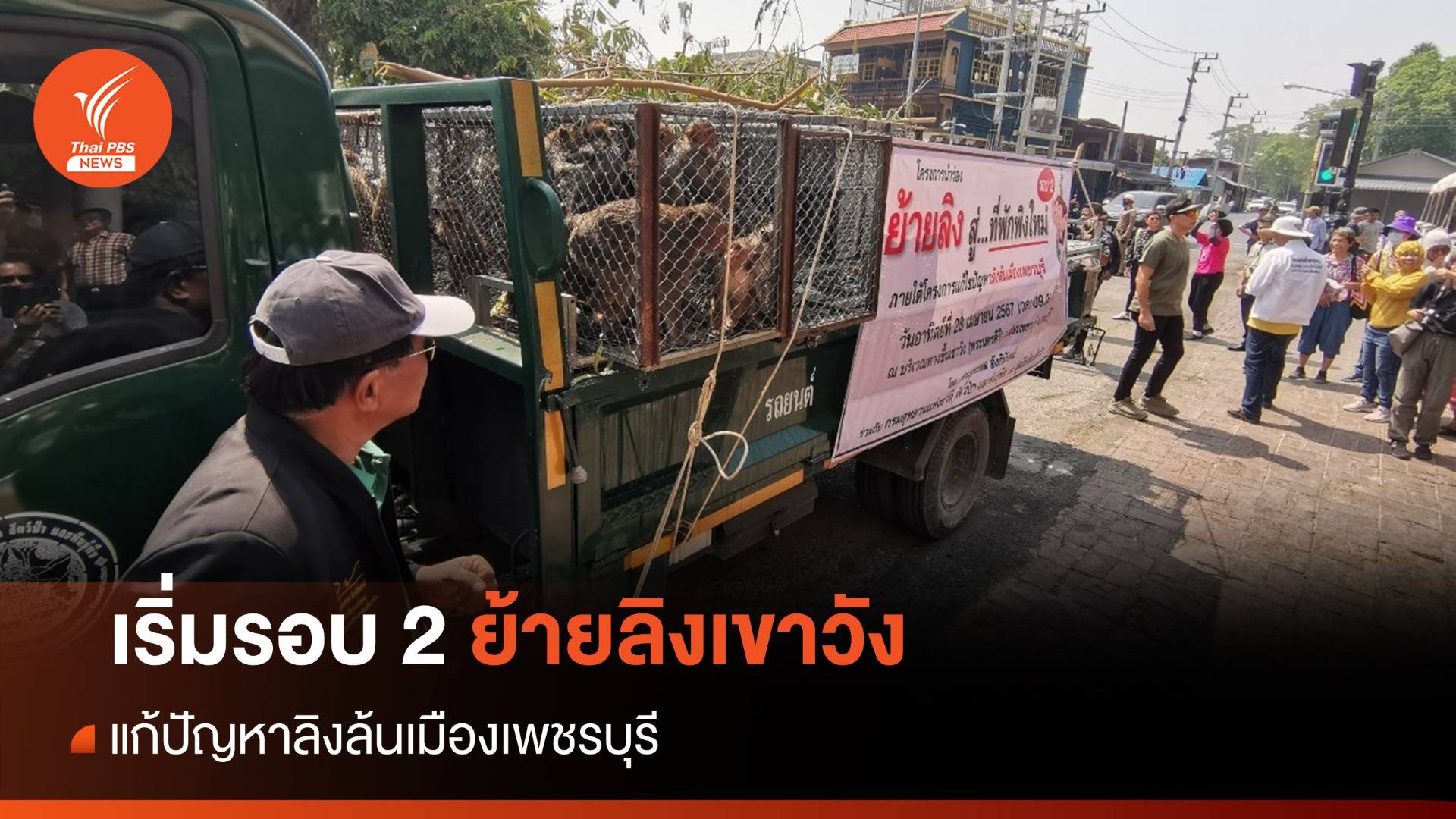 ปฏิบัติการรอบ 2 ย้ายลิงเขาวัง แก้ปัญหาลิงล้นเมืองเพชรบุรี