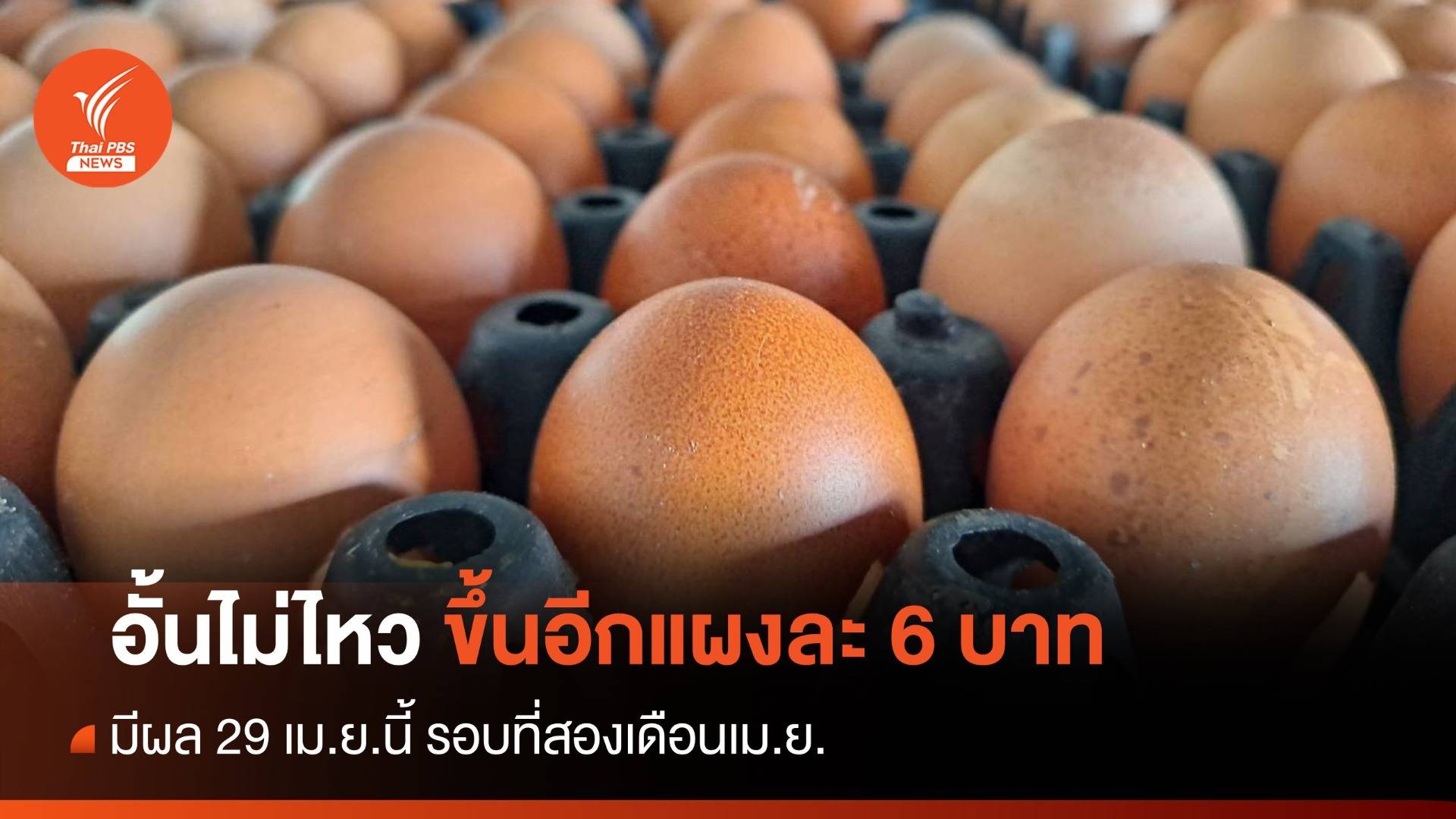 รอบที่ 2! “ไข่ไก่” ปรับราคาขึ้นอีกแผงละ 6 บาท มีผล 29 เม.ย.นี้ 