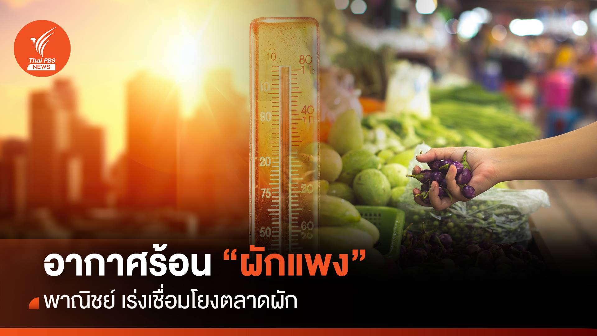 อากาศร้อน “ผักแพง” พาณิชย์ เร่งเชื่อมโยงตลาดผัก