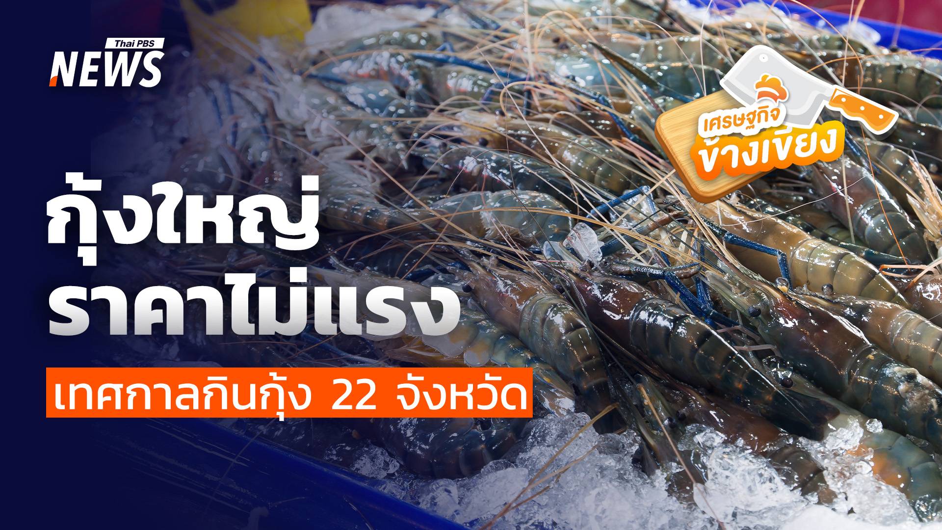 กุ้งใหญ่ ราคาไม่แรง พณ.ชวนชิมเทศกาลกินกุ้ง ช่วยชาวประมง