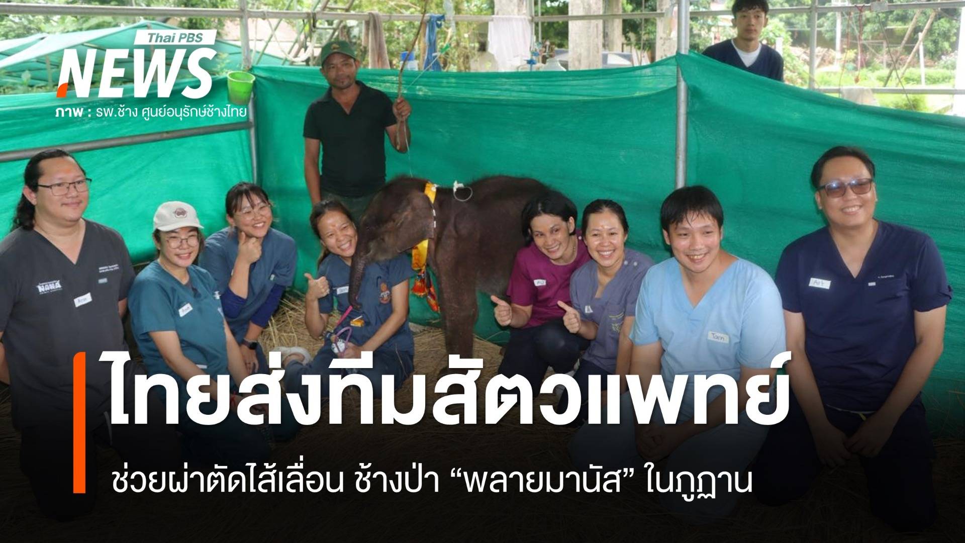 ไทยส่งทีมสัตวแพทย์ช่วยผ่าตัดไส้เลื่อน ช้างป่า "พลายมานัส" ในภูฏาน