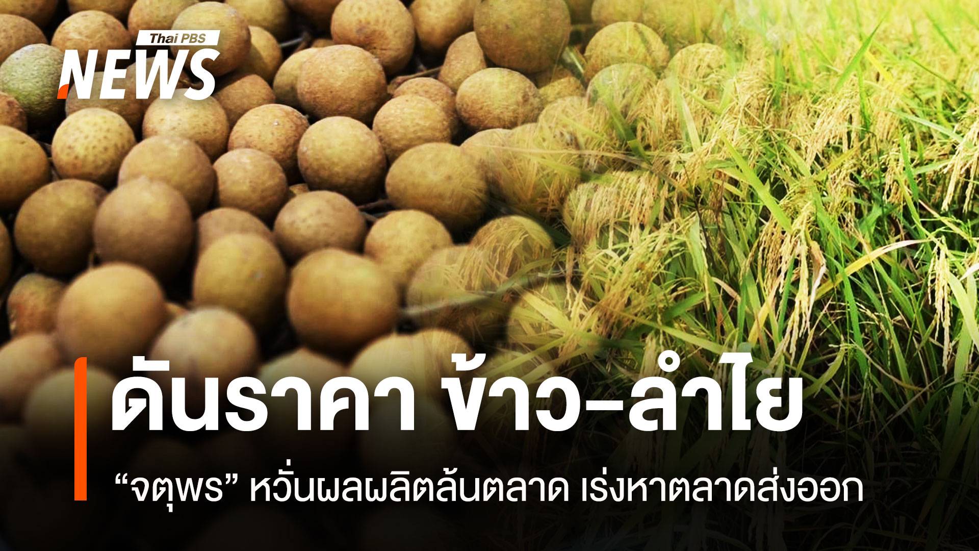 “จตุพร” ดันราคา ข้าว-ลำไย หวั่นผลผลิตล้นตลาด เร่งหาตลาดส่งออก
