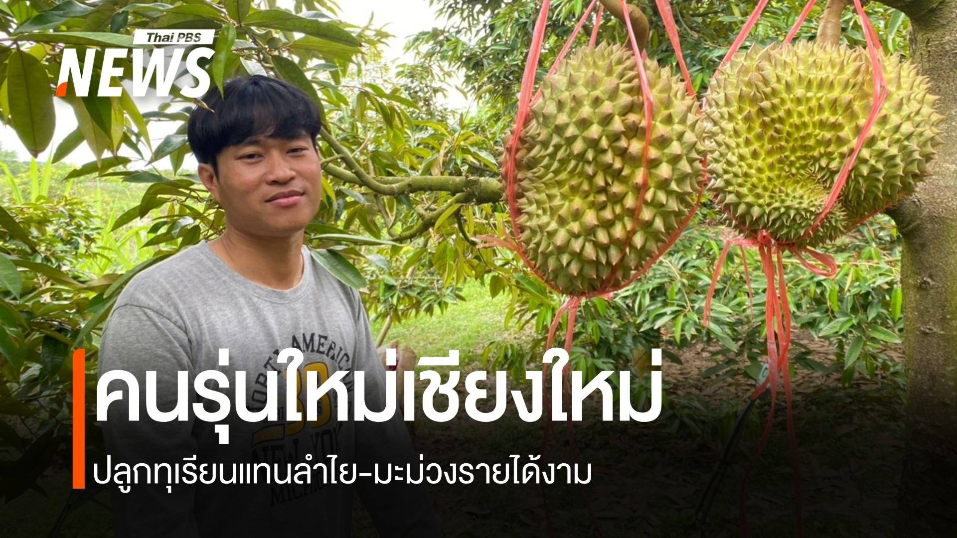 คนรุ่นใหม่ปลูกทุเรียนแทนลำไย-มะม่วง สร้างรายได้งามขายหมดตั้งแต่ยังไม่เก็บ
