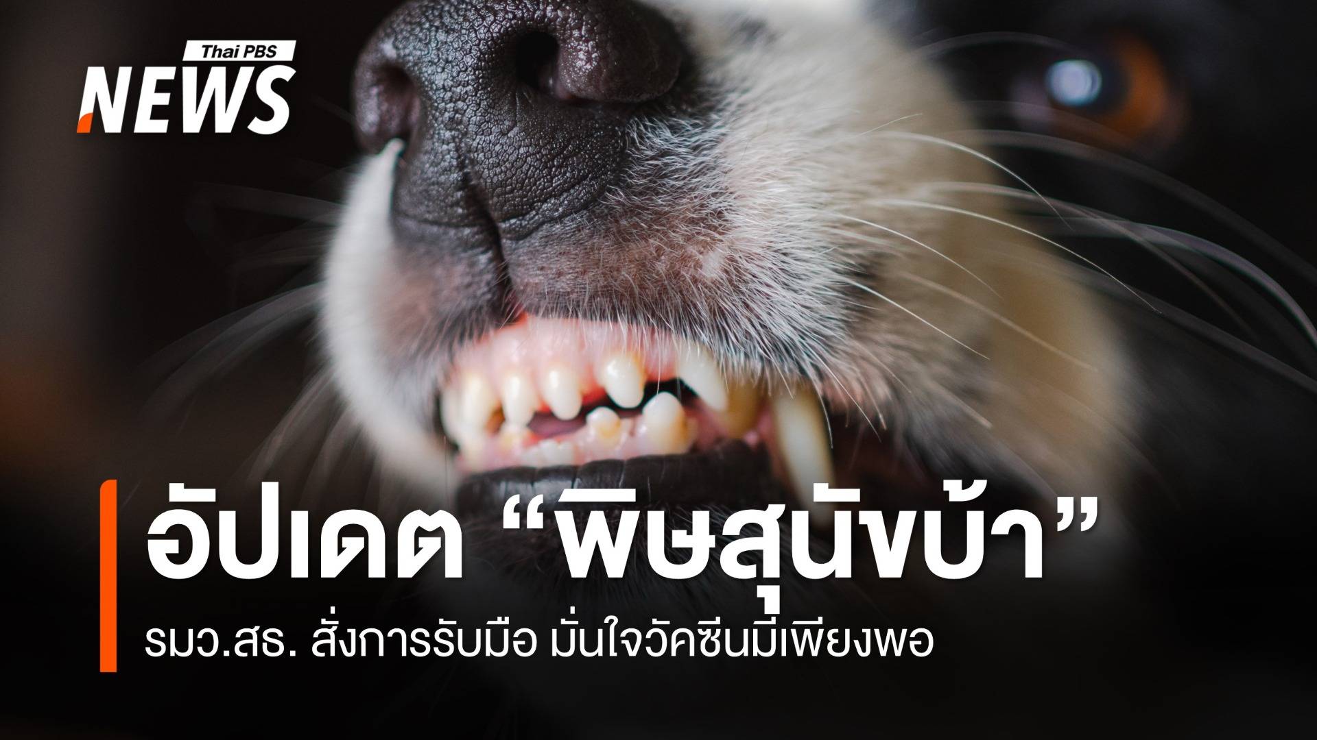อัปเดต "พิษสุนัขบ้า 2568" พบผู้ป่วย 7 คน เสียชีวิตทั้ง 7 คน