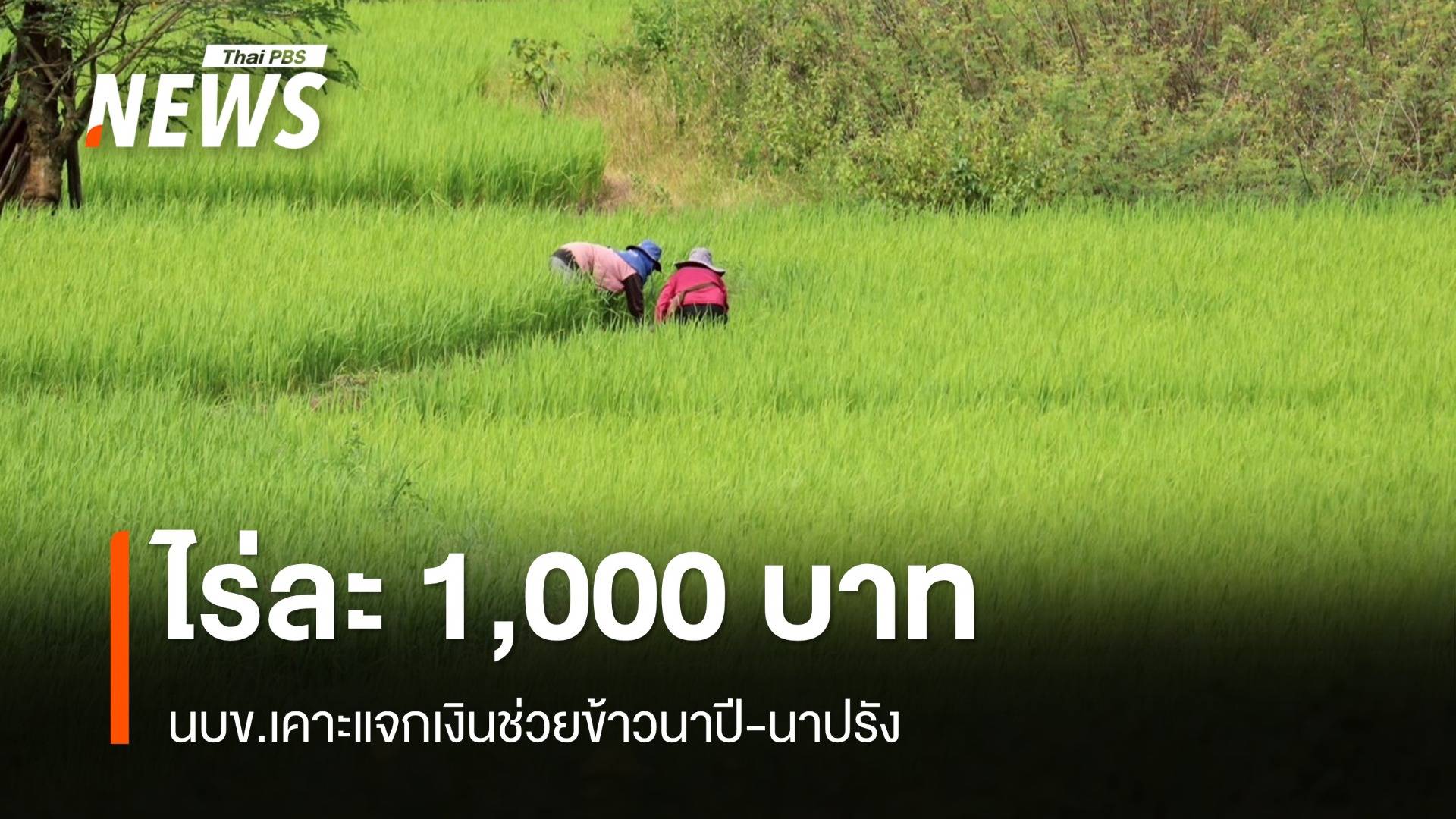 นบข.เคาะแจกเงินช่วยข้าวนาปี-นาปรัง ไร่ละ 1,000 บาท สูงสุด 10 ไร่