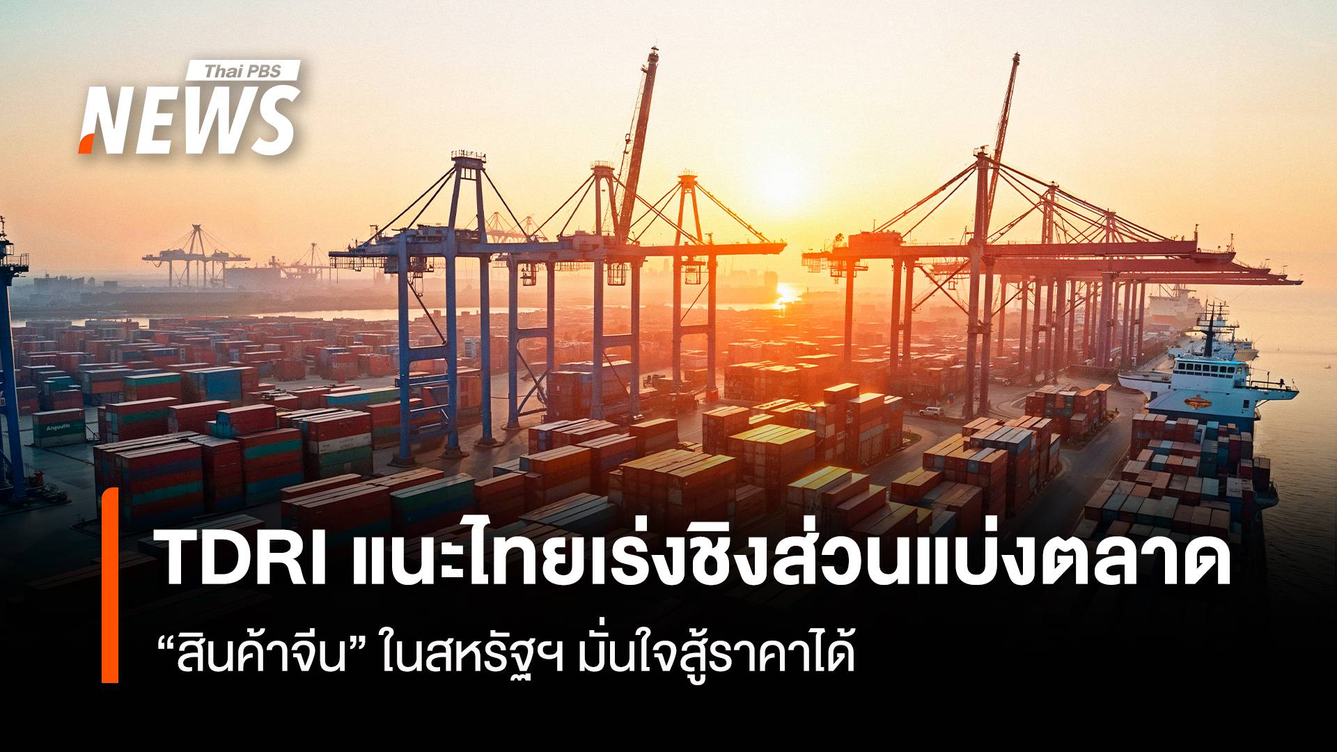 TDRI แนะไทยเร่งชิงส่วนแบ่งตลาด "สินค้าจีน" ในสหรัฐฯ มั่นใจสู้ราคาได้