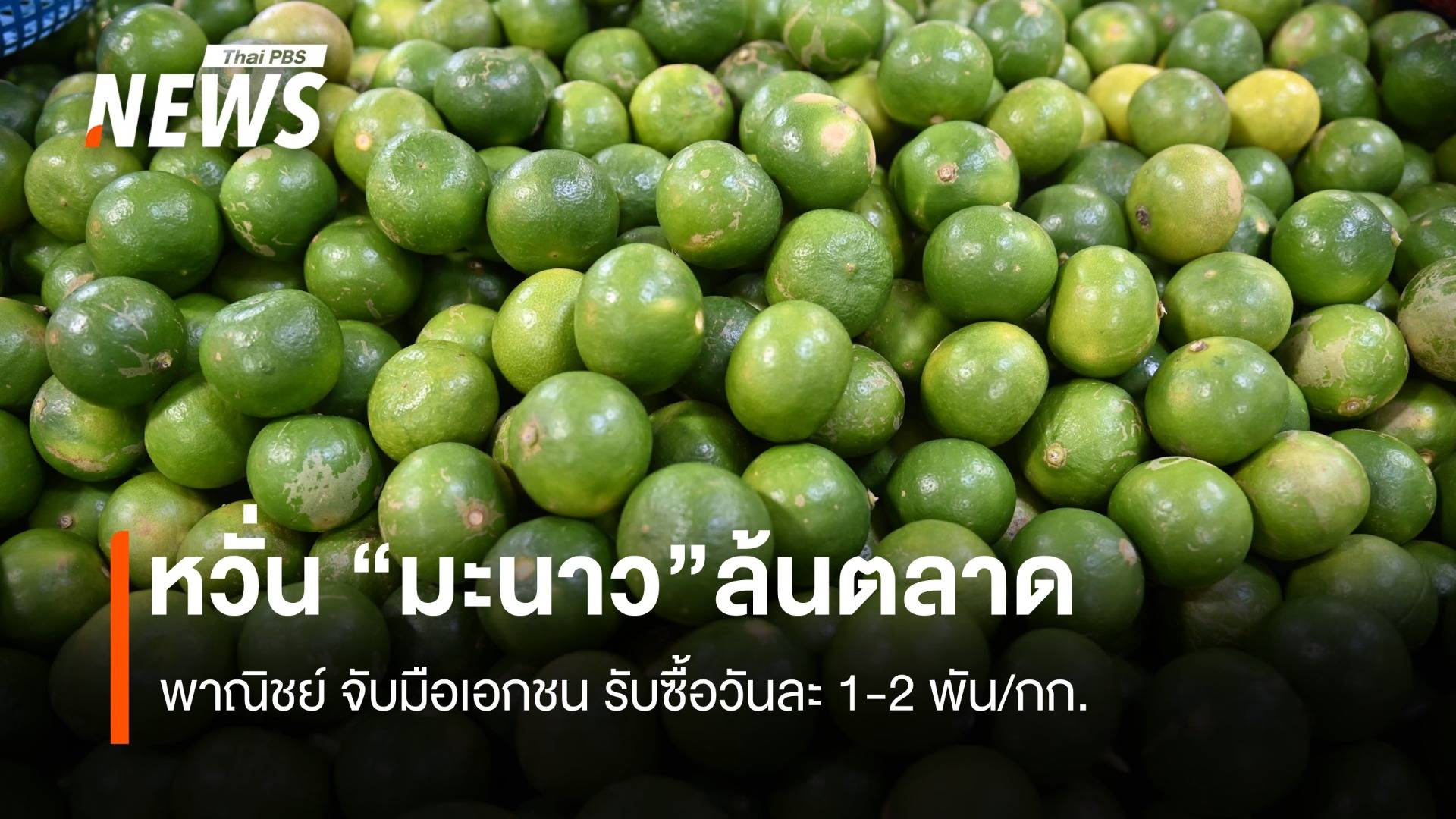 หวั่นมะนาวล้นตลาด พาณิชย์ จับมือเอกชนรับซื้อวันละ 1-2 พัน/กก.