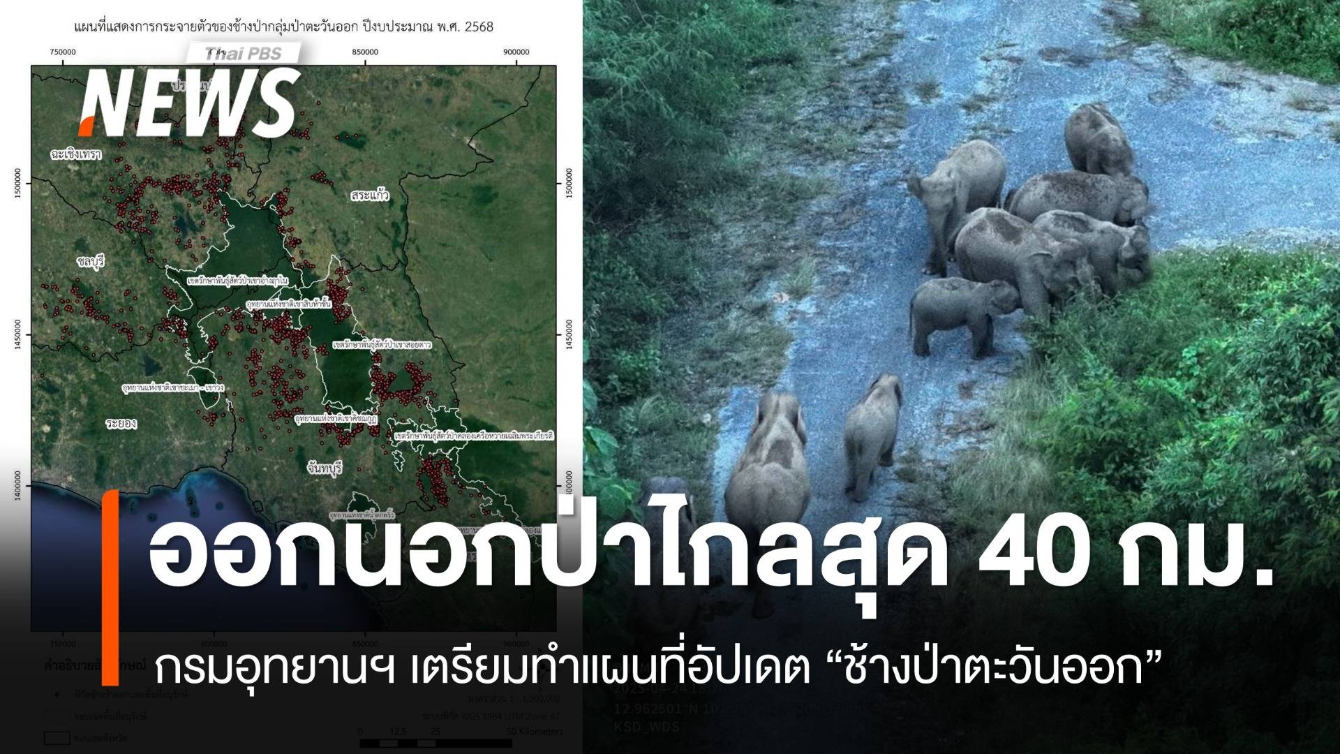 เล็งทำแผนที่อัปเดต "ช้างป่าตะวันออก" พบออกนอกป่าไกลสุด 40 กม.