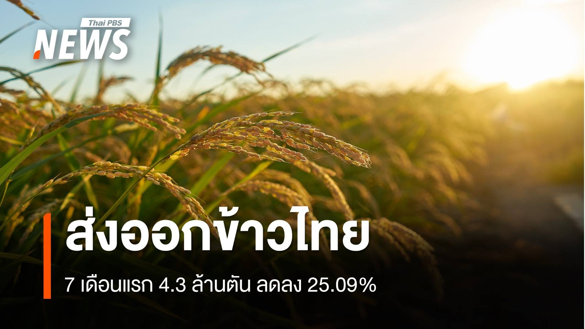  7 เดือนปี 68 ไทยส่งออกข้าว 4.30 ล้านตัน ดันยอดทั้งปีให้ได้ตามเป้า