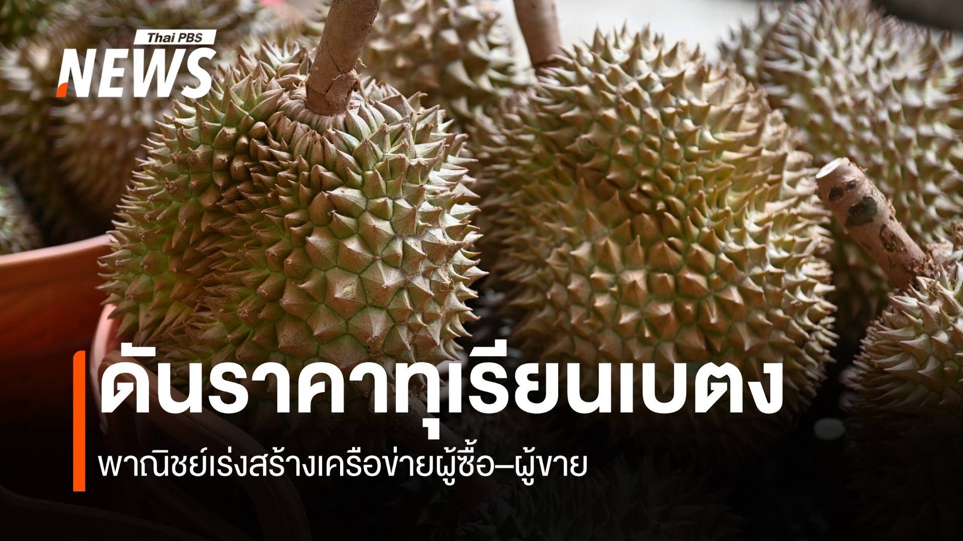 ดันราคาทุเรียนเบตง พาณิชย์เร่งสร้างเครือข่ายผู้ซื้อ–ผู้ขาย