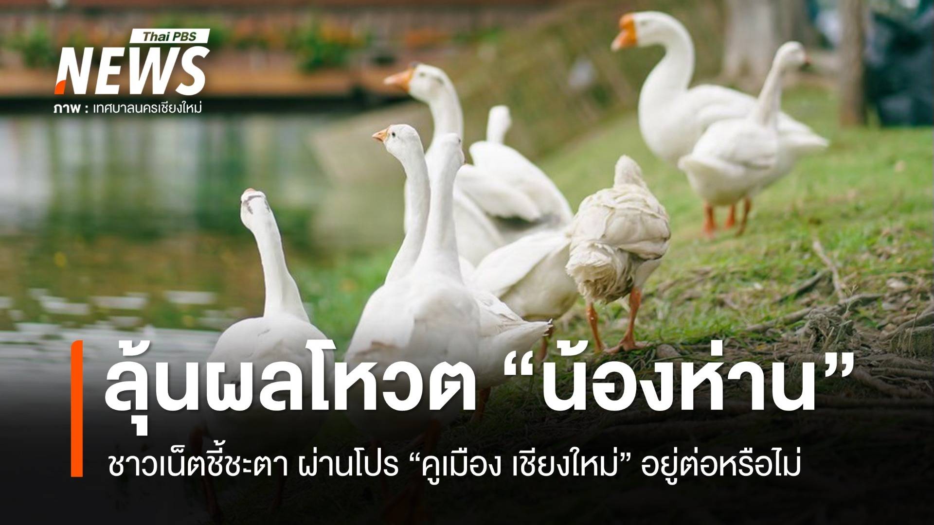 ลุ้นผลโหวตชี้ชะตา "น้องห่าน" ผ่านโปรบรรจุเป็นพนักงานคูเมืองหรือไม่