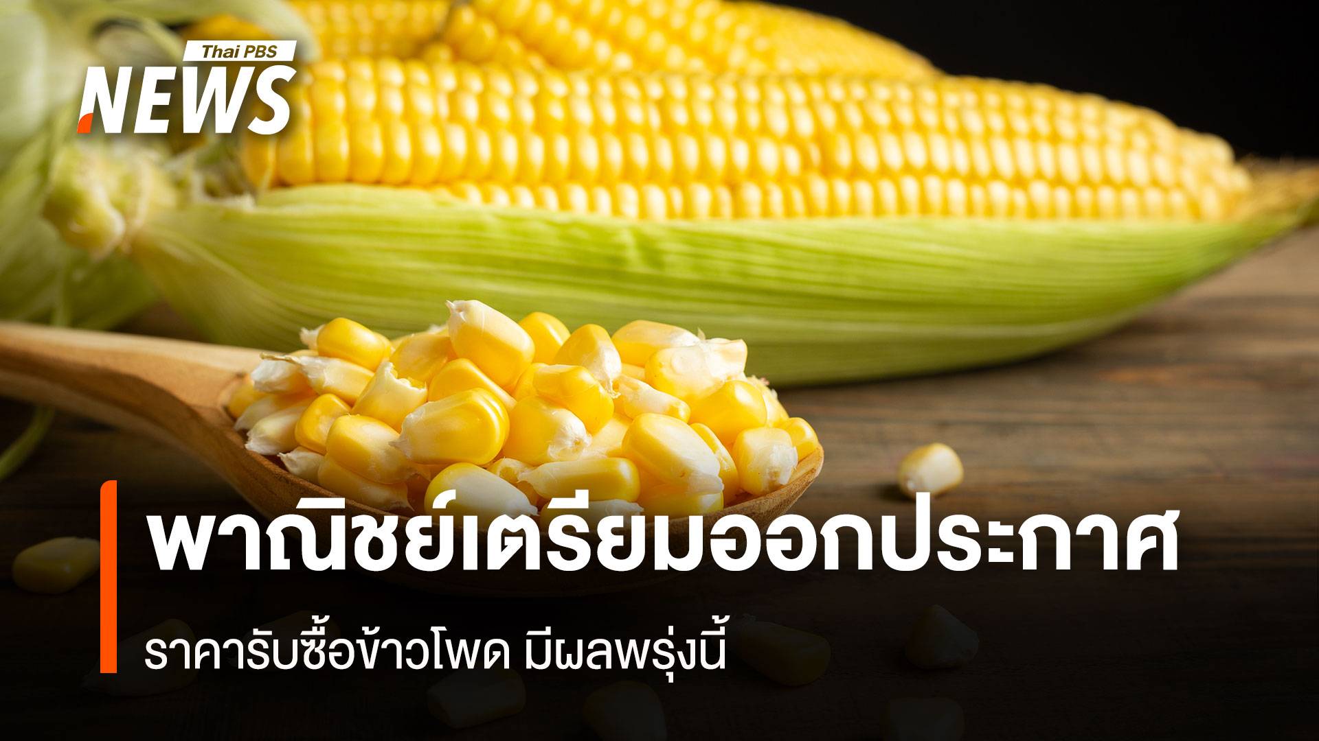 พาณิชย์เตรียมออกประกาศ ราคารับซื้อข้าวโพด มีผลพรุ่งนี้