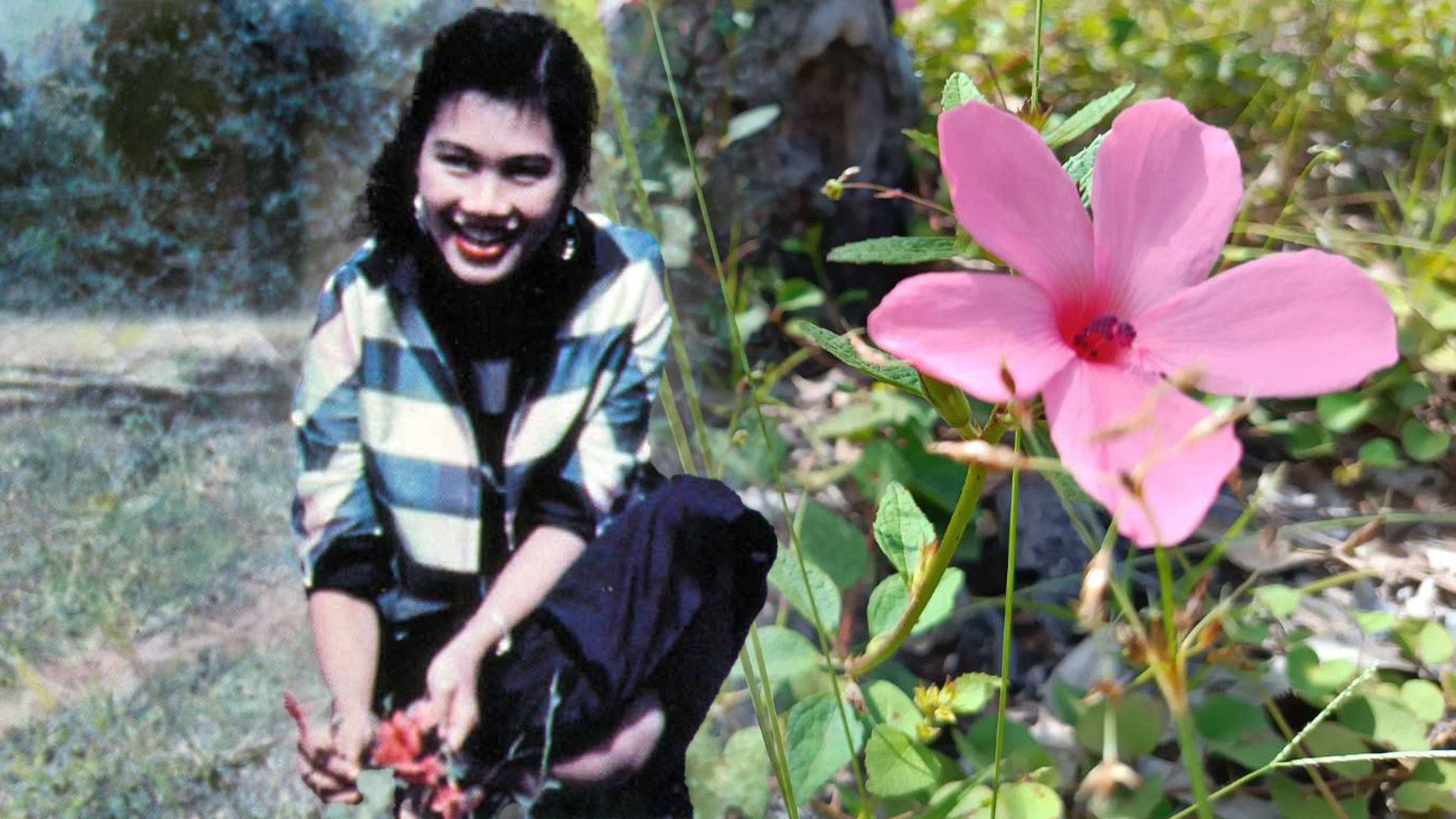 สมเด็จพระราชินีฯ กับ”ดอกไก่โอก” ดอกไม้ของคนโคราช