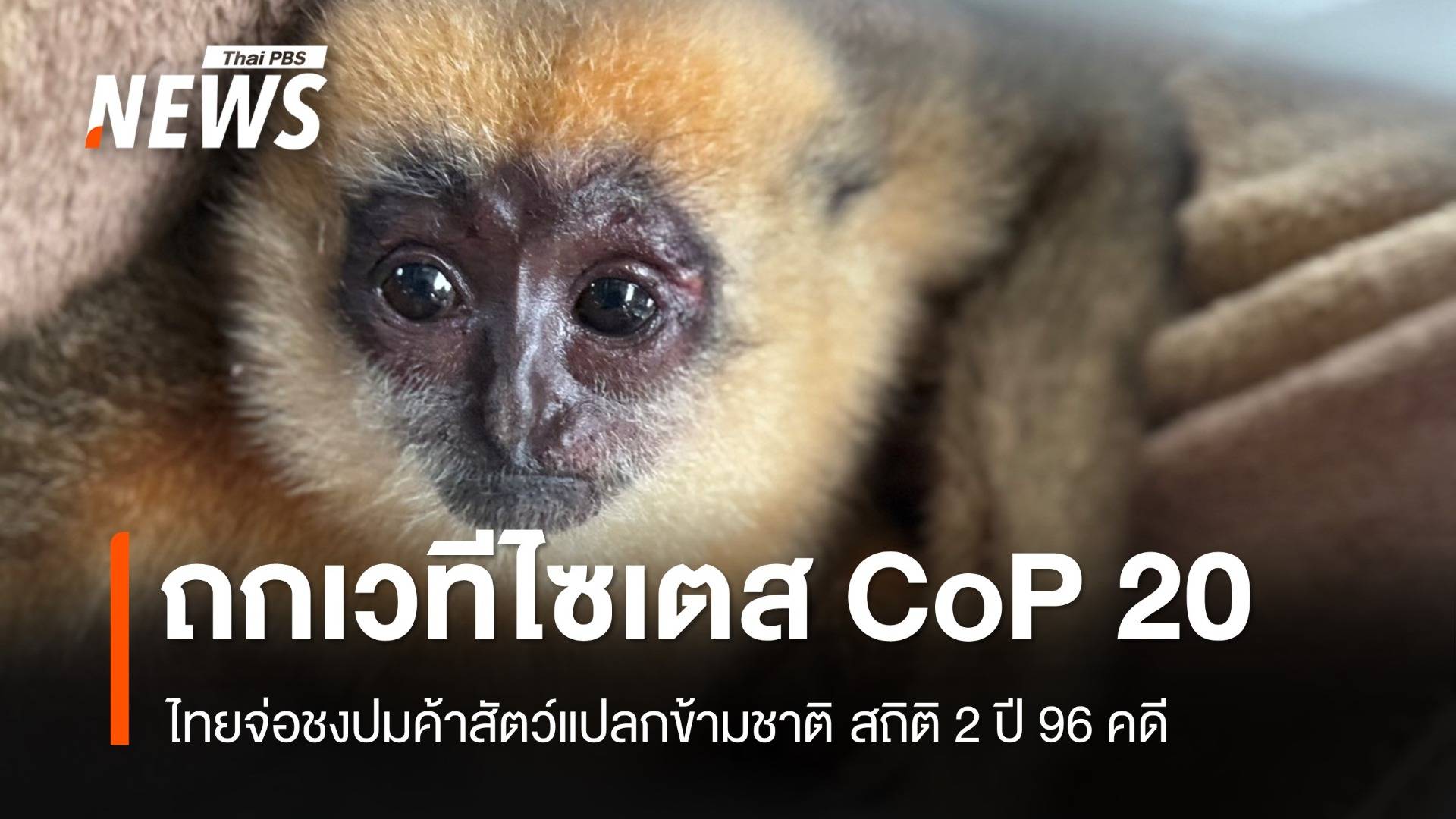 ไทยจ่อชงปมค้าสัตว์แปลกข้ามชาติ ถกเวที “ไซเตส”  CoP 20 พ.ย.นี้