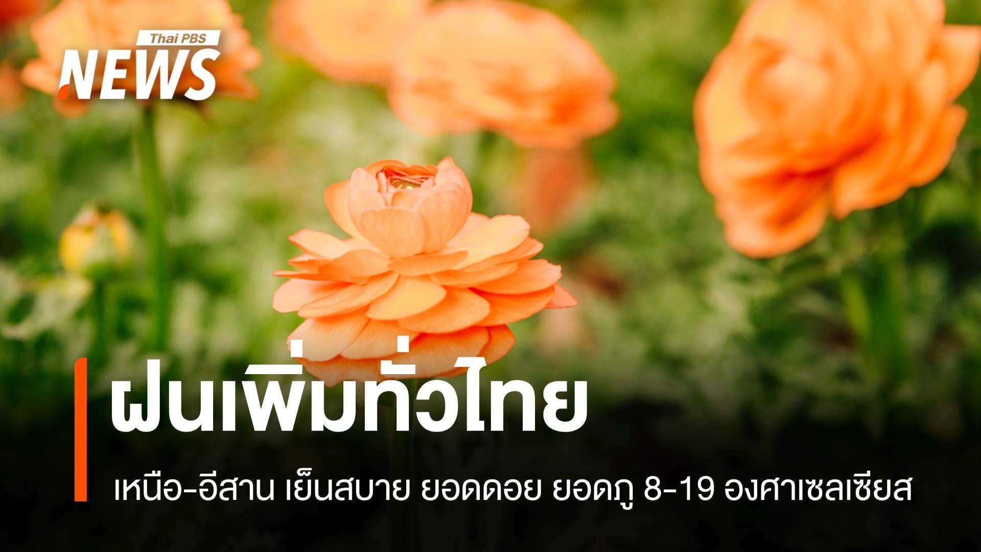 สภาพอากาศวันนี้ ฝนเพิ่มทั่วไทย ยอดดอยอุณหภูมิต่ำสุด 8 องศาฯ