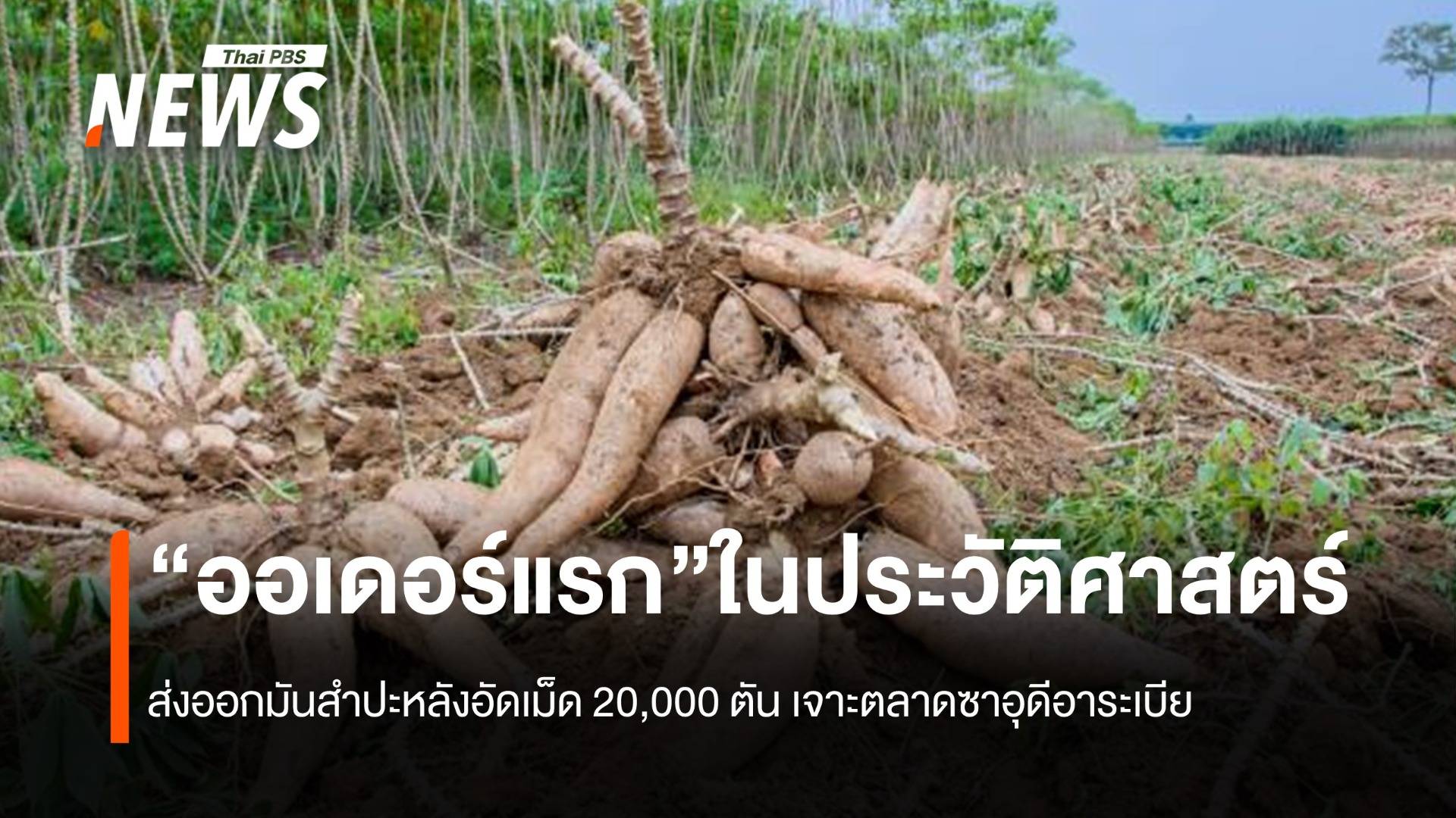 ส่งออกมันอัดเม็ด 2 หมื่นตัน “ออเดอร์แรก”ในประวัติศาสตร์เจาะตลาดซาอุฯสำเร็จ