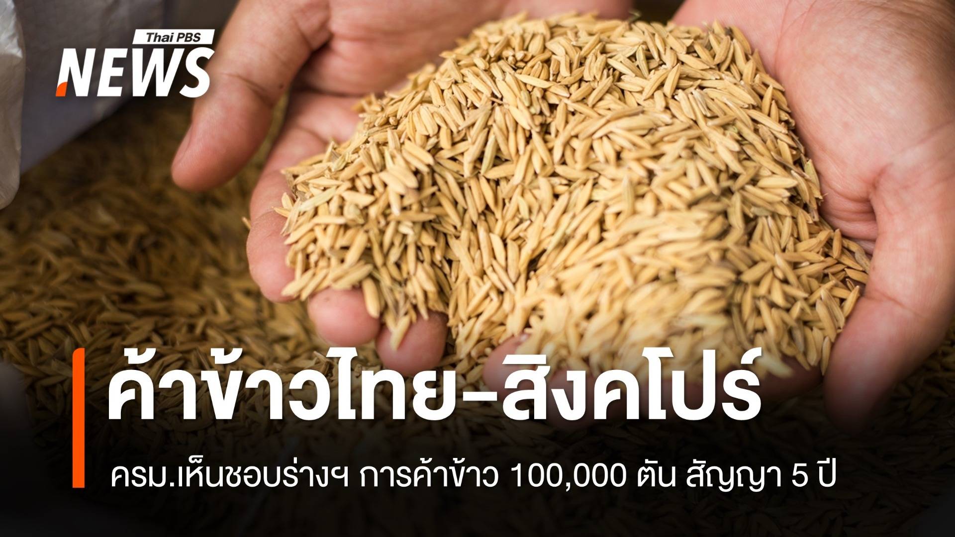 ครม.เห็นชอบร่างความร่วมมือค้าข้าวไทย-สิงคโปร์ 1 แสนตัน สัญญา 5 ปี