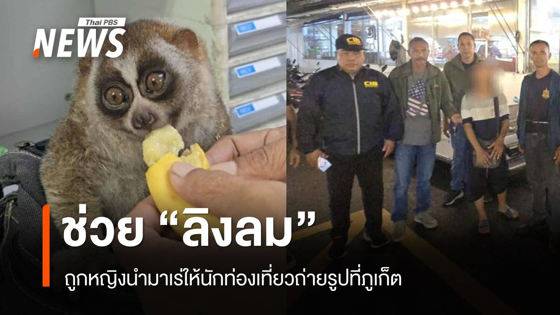 จับหญิงนำ “ลิงลม” เร่ให้นักท่องเที่ยวถ่ายรูปกลางตลาดถนนคนเดิน