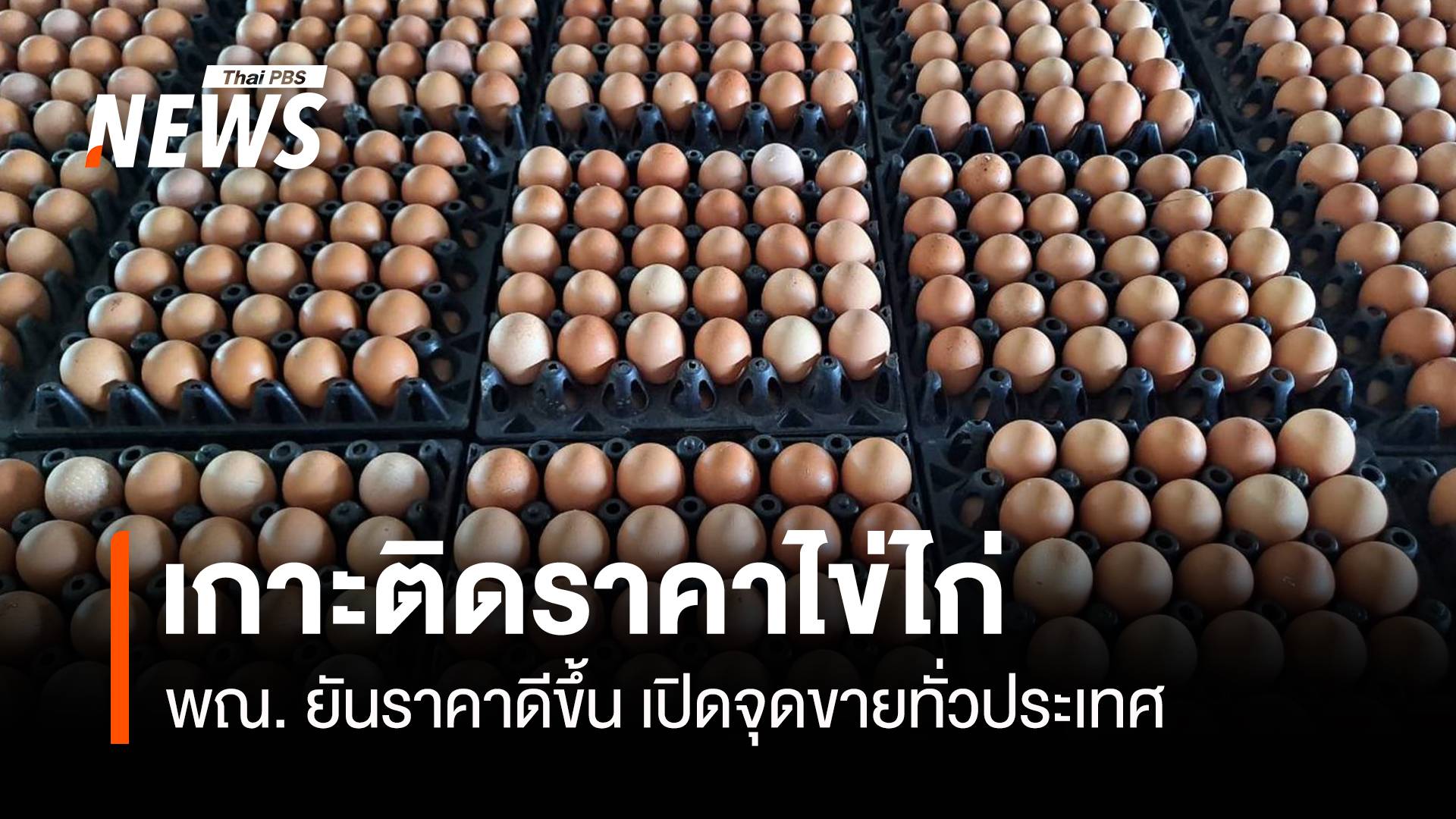 เกาะติดราคาไข่ไก่ พณ. ยันราคาดีขึ้น เปิดจุดขายทั่วประเทศ