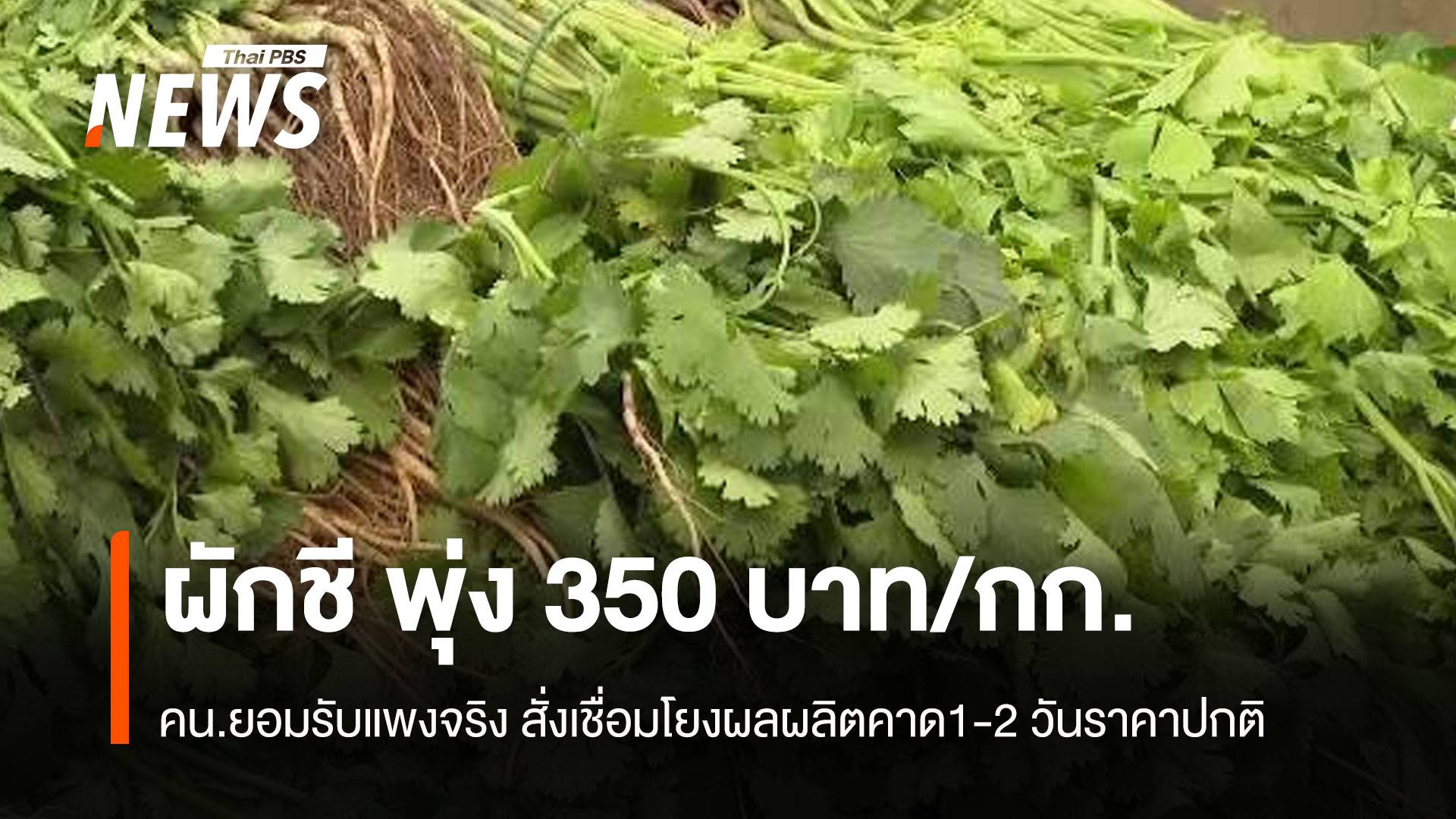 ผักชี พุ่ง 350 บาท/กก. คน.ยอมรับแพงจริง สั่งเชื่อมโยงผลผลิต