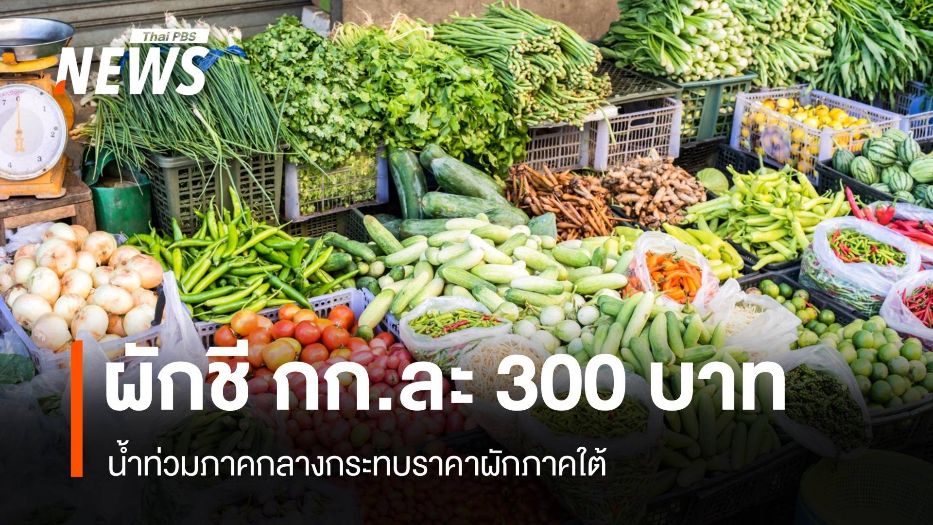 น้ำท่วมภาคกลางกระทบราคาผักภาคใต้ ผักชีพุ่งกิโลละ 300 บาท