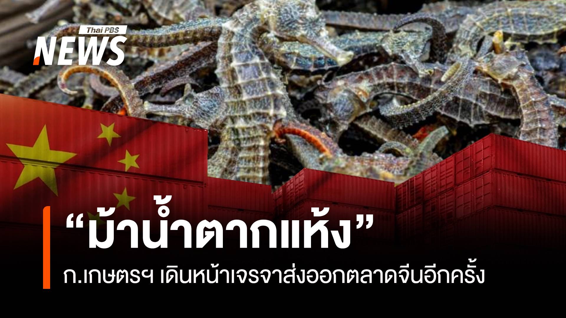 “ม้าน้ำตากแห้ง” ก.เกษตรฯ เดินหน้าเจรจาส่งออกตลาดจีนอีกครั้ง