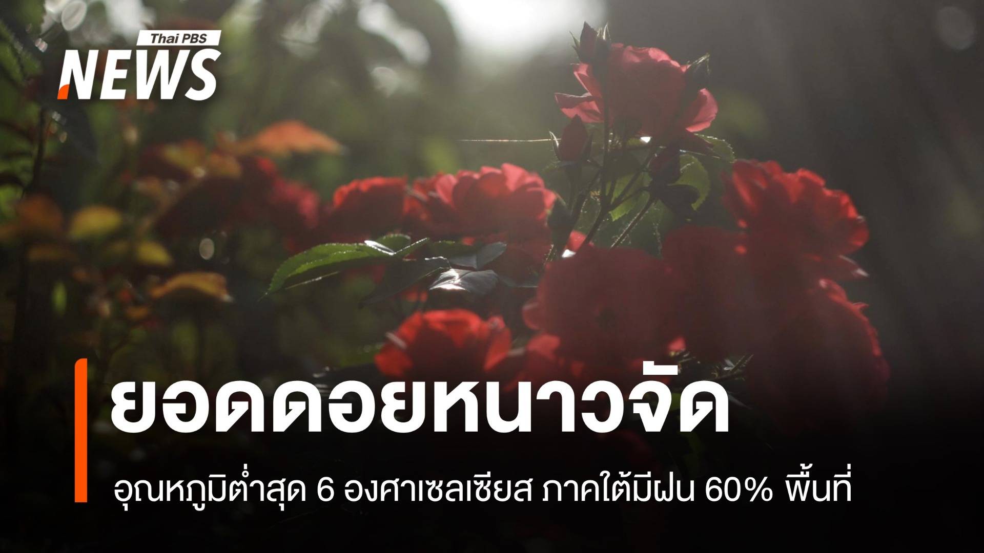 สภาพอากาศวันนี้ ยอดดอยหนาวจัด ต่ำสุด 6 องศาฯ ใต้ฝนหนัก 60%