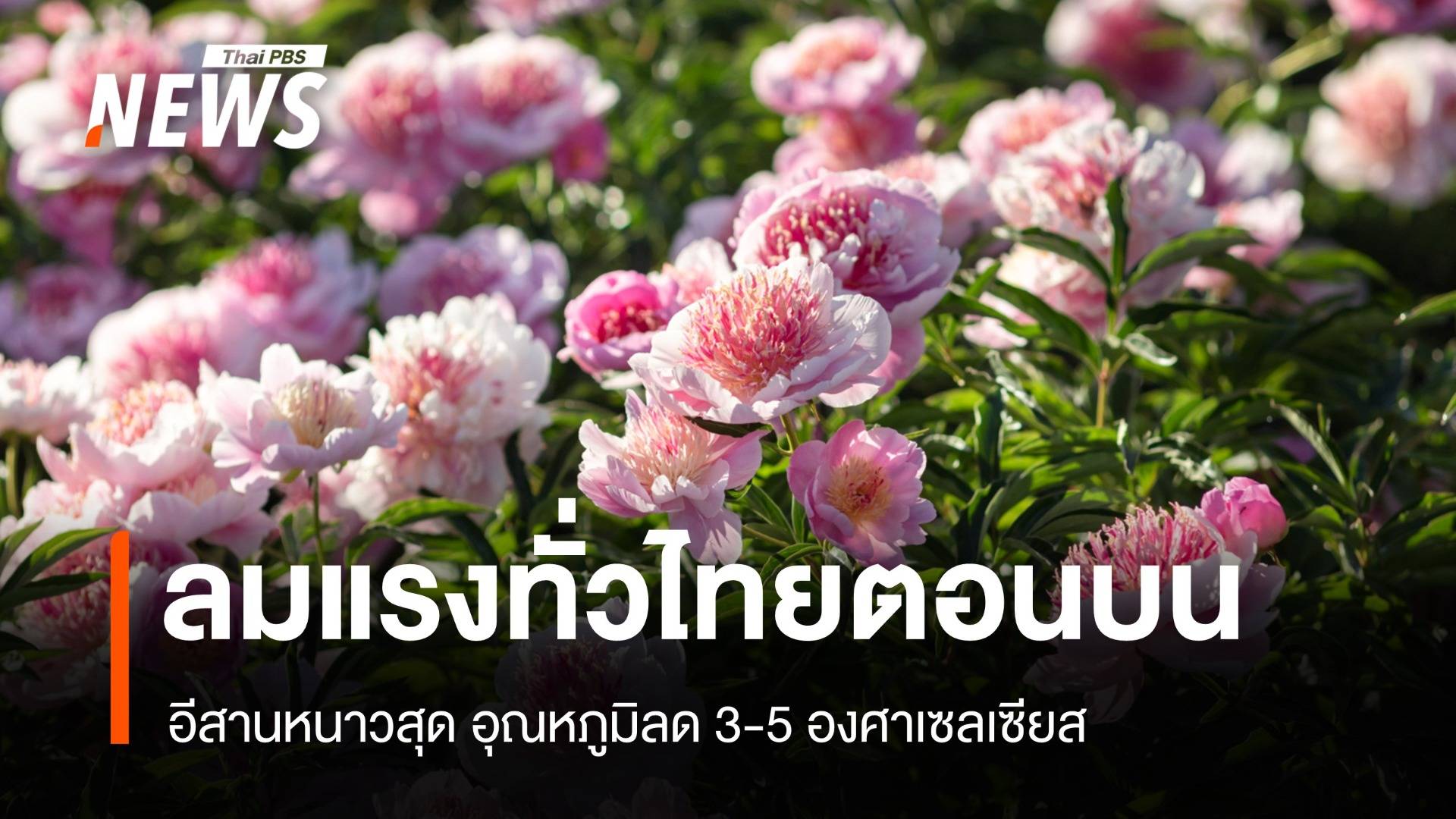 สภาพอากาศวันนี้ อีสานหนาวสุดลด 3-5 องศาฯ ลมแรงทั่วไทยตอนบน