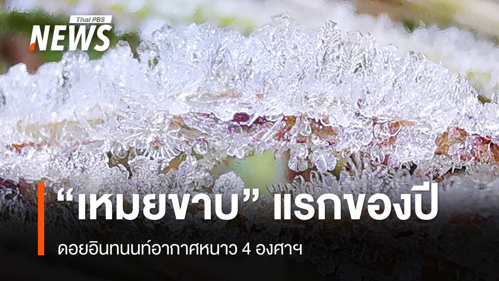 ดอยอินทนนท์ หนาว 4 องศาฯ เกิด "เหมยขาบ" แรกของปี