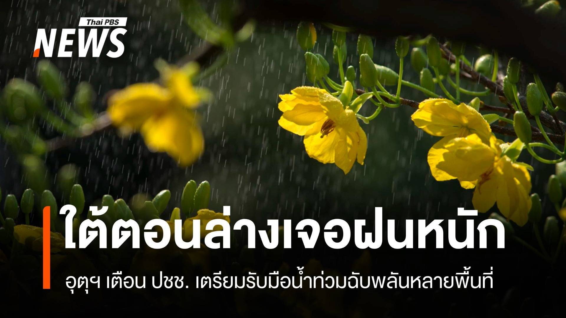 สภาพอากาศวันนี้ ใต้ตอนล่างเจอฝนหนัก เตือนน้ำท่วมฉับพลันหลายพื้นที่