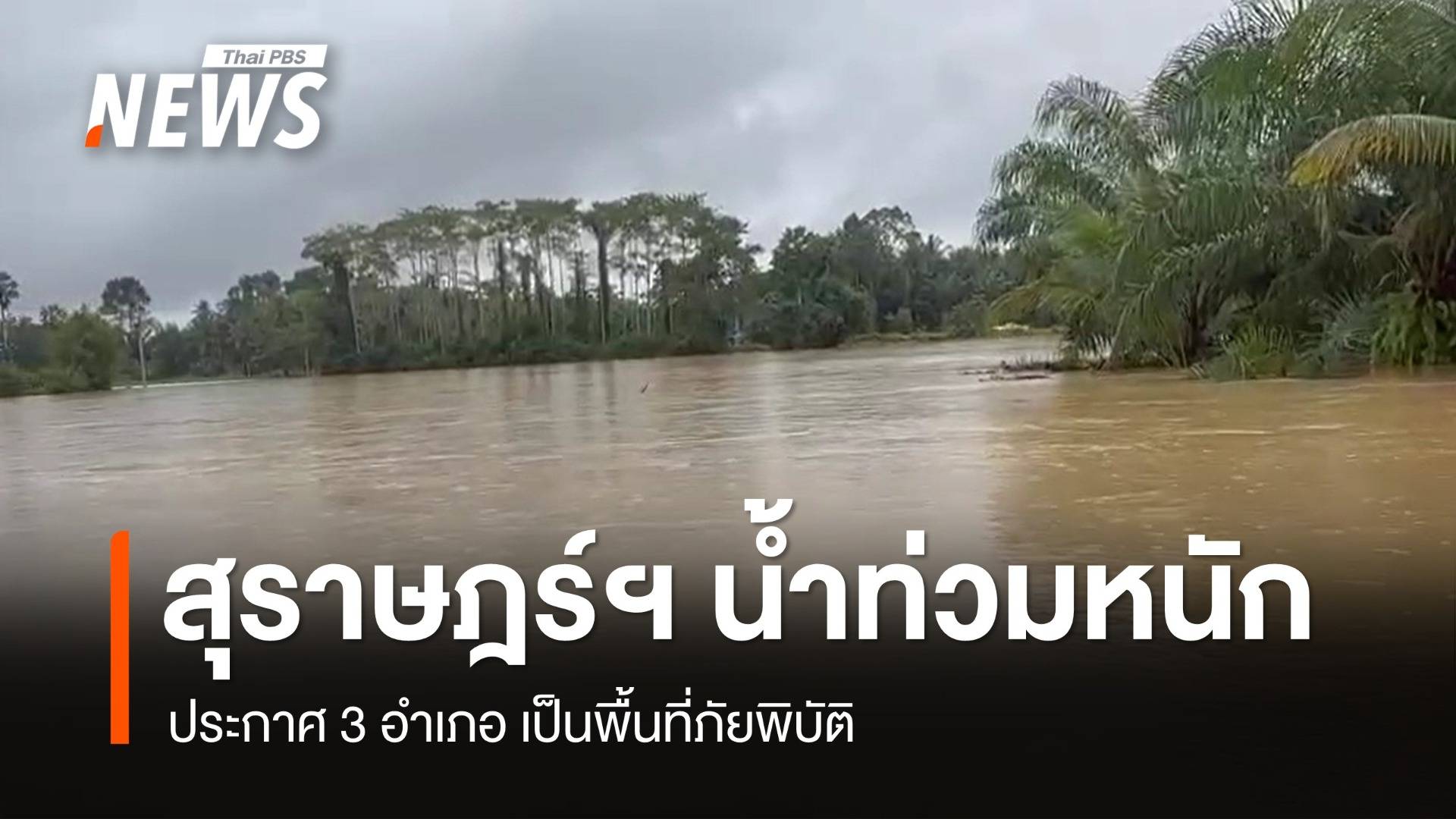 สุราษฎร์ฯ ประกาศ 3 อำเภอ เป็นพื้นที่ภัยพิบัติน้ำท่วม อ.ไชยาน่าห่วงสุด