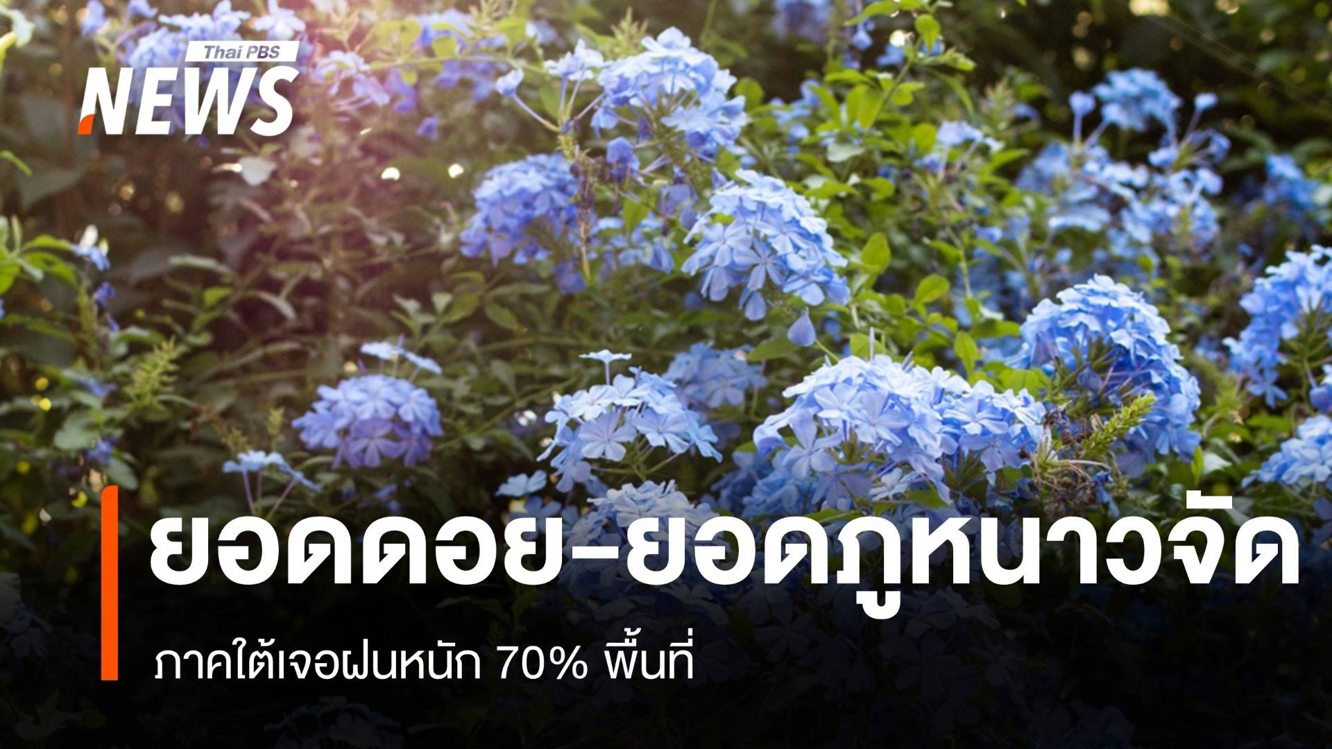 สภาพอากาศวันนี้ ยอดดอย-ยอดภูหนาวจัด ใต้เจอฝนหนัก 70% พื้นที่