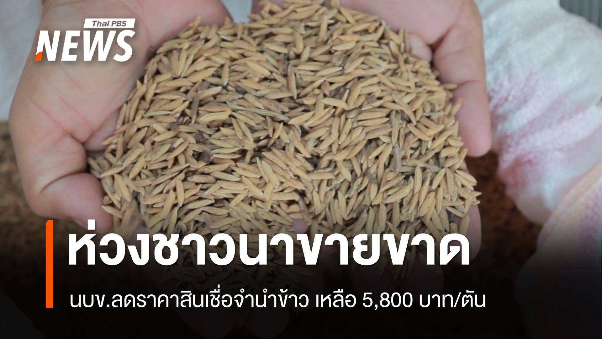 นบข. ลดราคาสินเชื่อจำนำข้าว จาก 8,000 เหลือ 5,800 บาท/ตัน อ้างห่วงชาวนาขายขาด