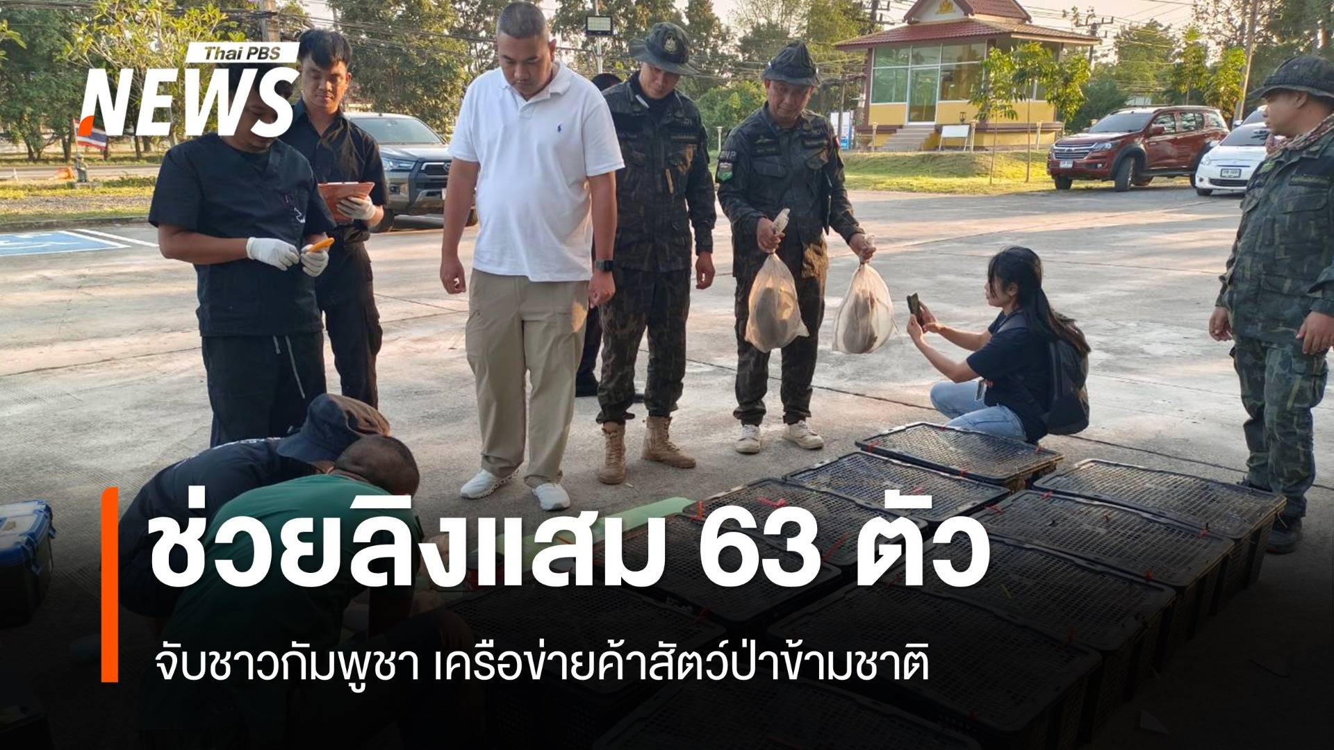 ช่วยลิงแสม 63 ตัว จับชาวกัมพูชา เครือข่ายค้าสัตว์ป่าข้ามชาติ