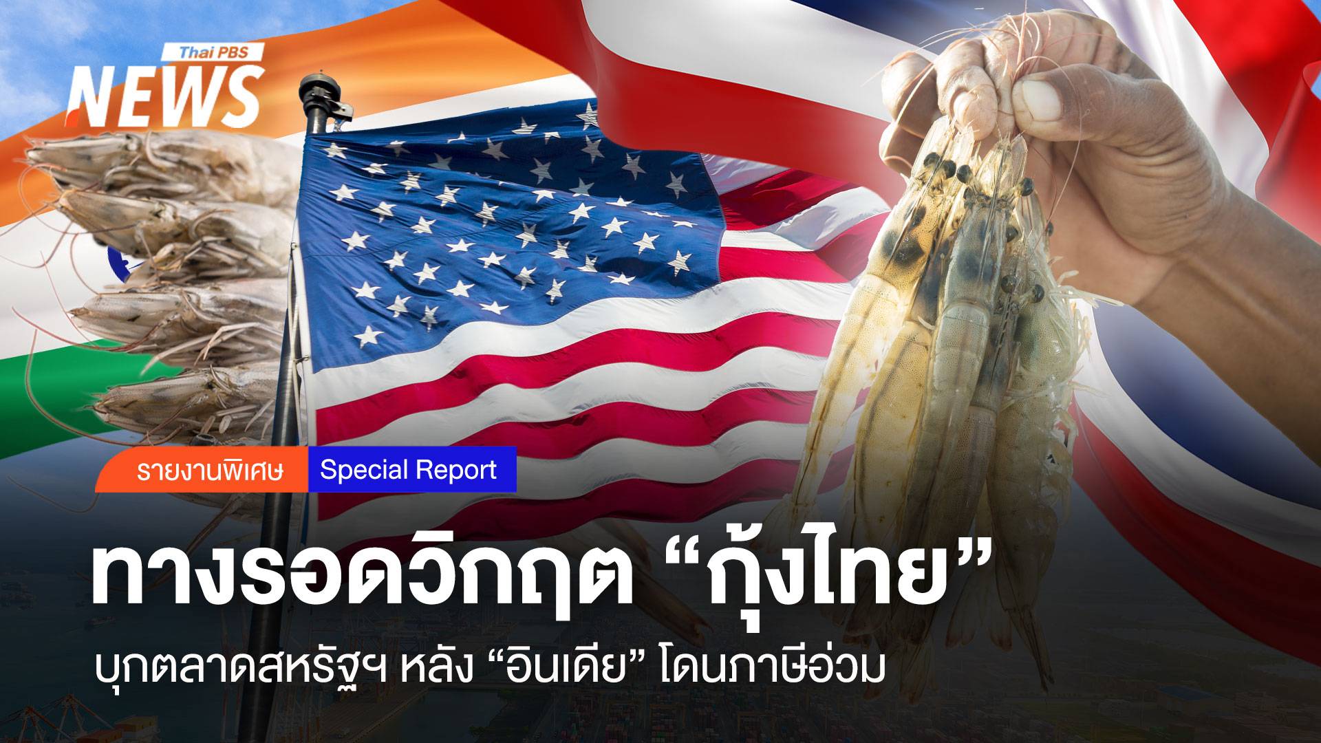 ทางรอดวิกฤต "กุ้งไทย" บุกตลาดสหรัฐฯ หลัง "อินเดีย"โดนภาษีอ่วม