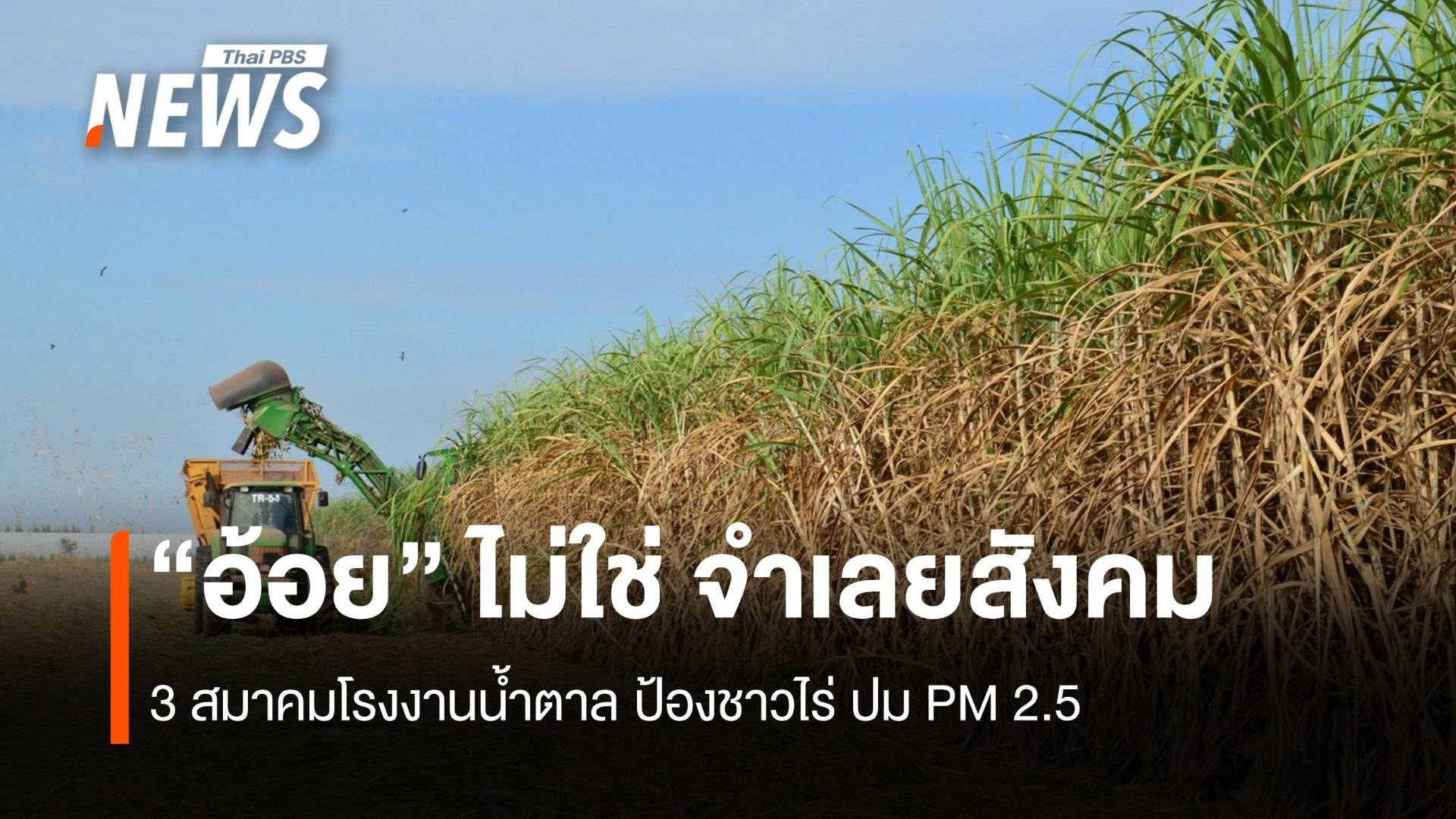 “อ้อย” ไม่ใช่ จำเลยสังคม 3 สมาคมโรงงานน้ำตาล ป้องชาวไร่ ปม PM2.5