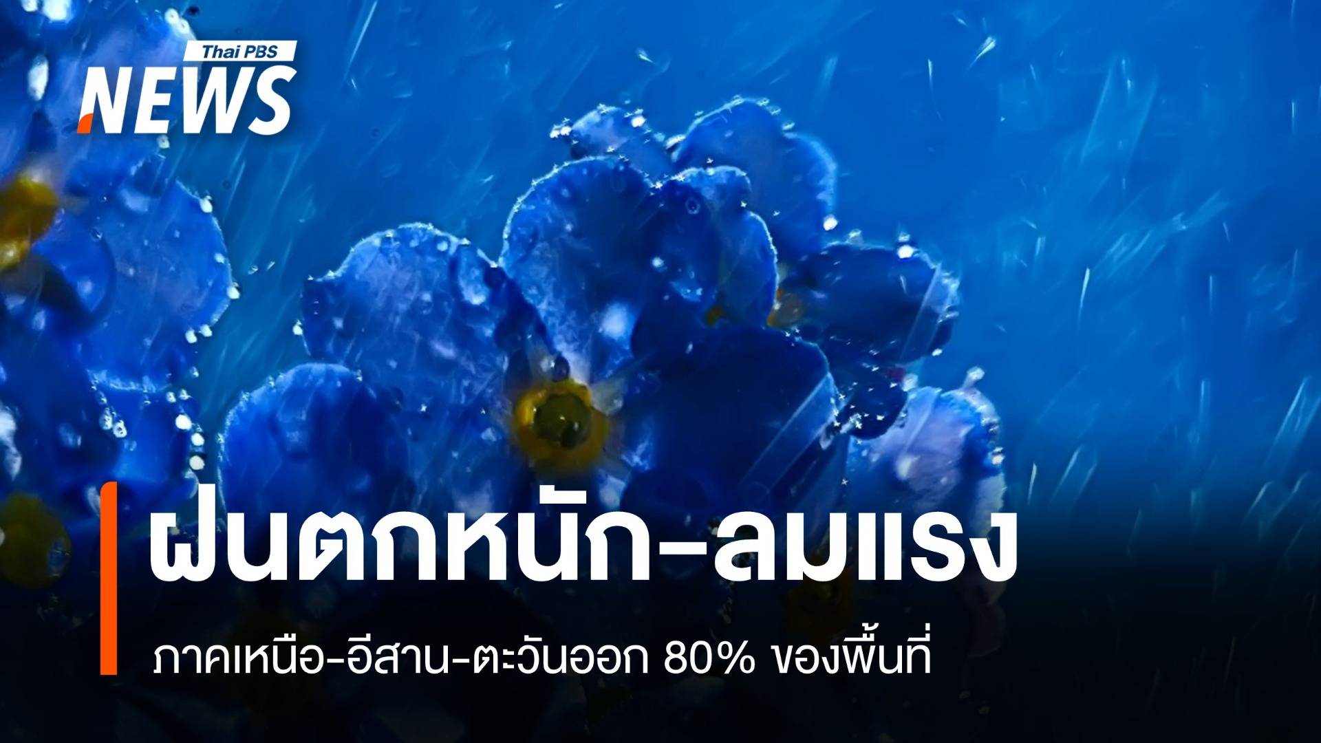 สภาพอากาศวันนี้ เหนือ-อีสาน-ตะวันออก ฝนตกหนัก-ลมแรง 80% พื้นที่