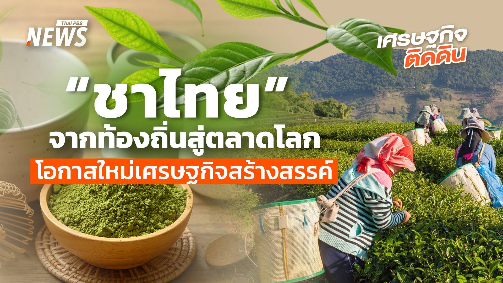  “ชาไทย” จากท้องถิ่นสู่ตลาดโลก โอกาสใหม่เศรษฐกิจสร้างสรรค์